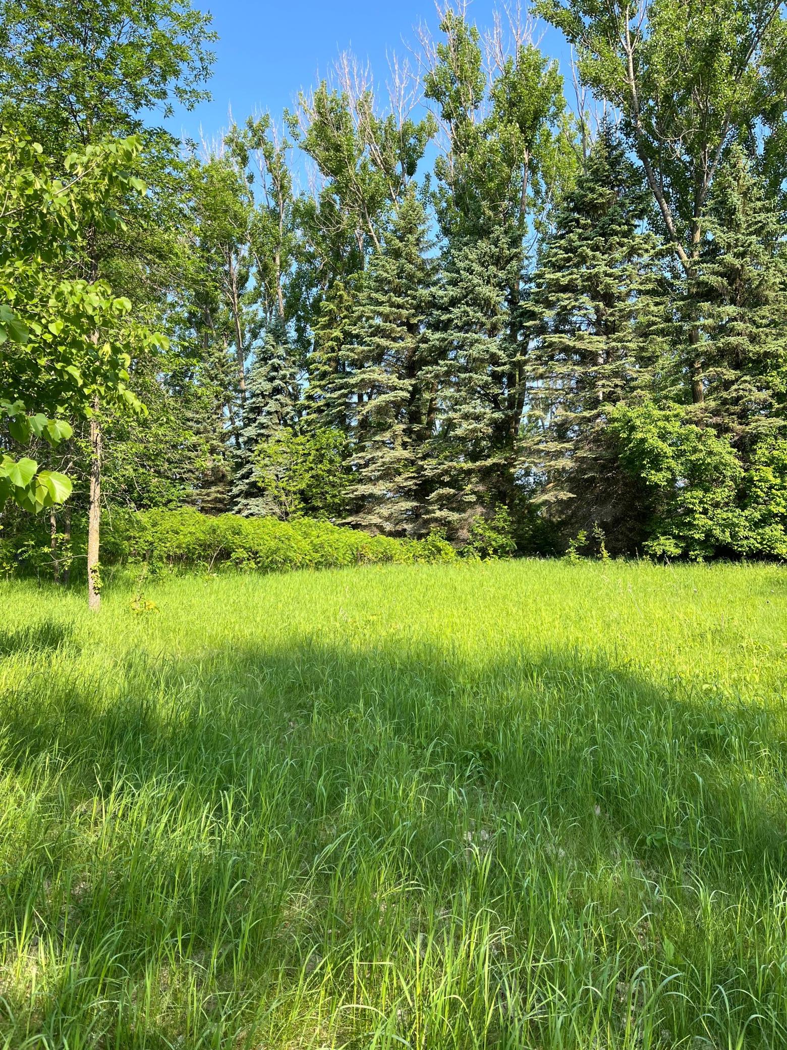 TBD Wild Rose Trail