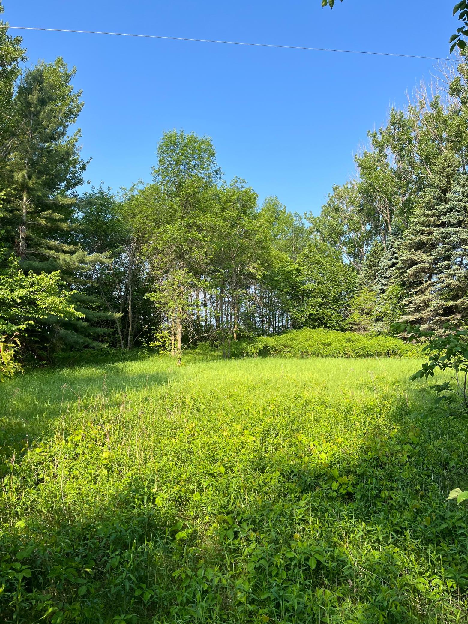 TBD Wild Rose Trail