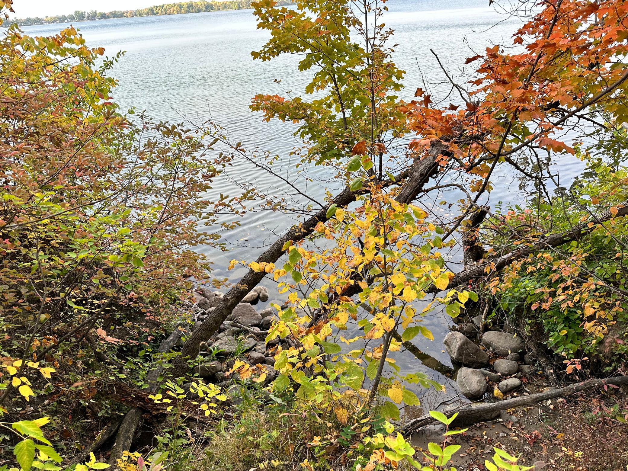 TBD Wild Rose Trail