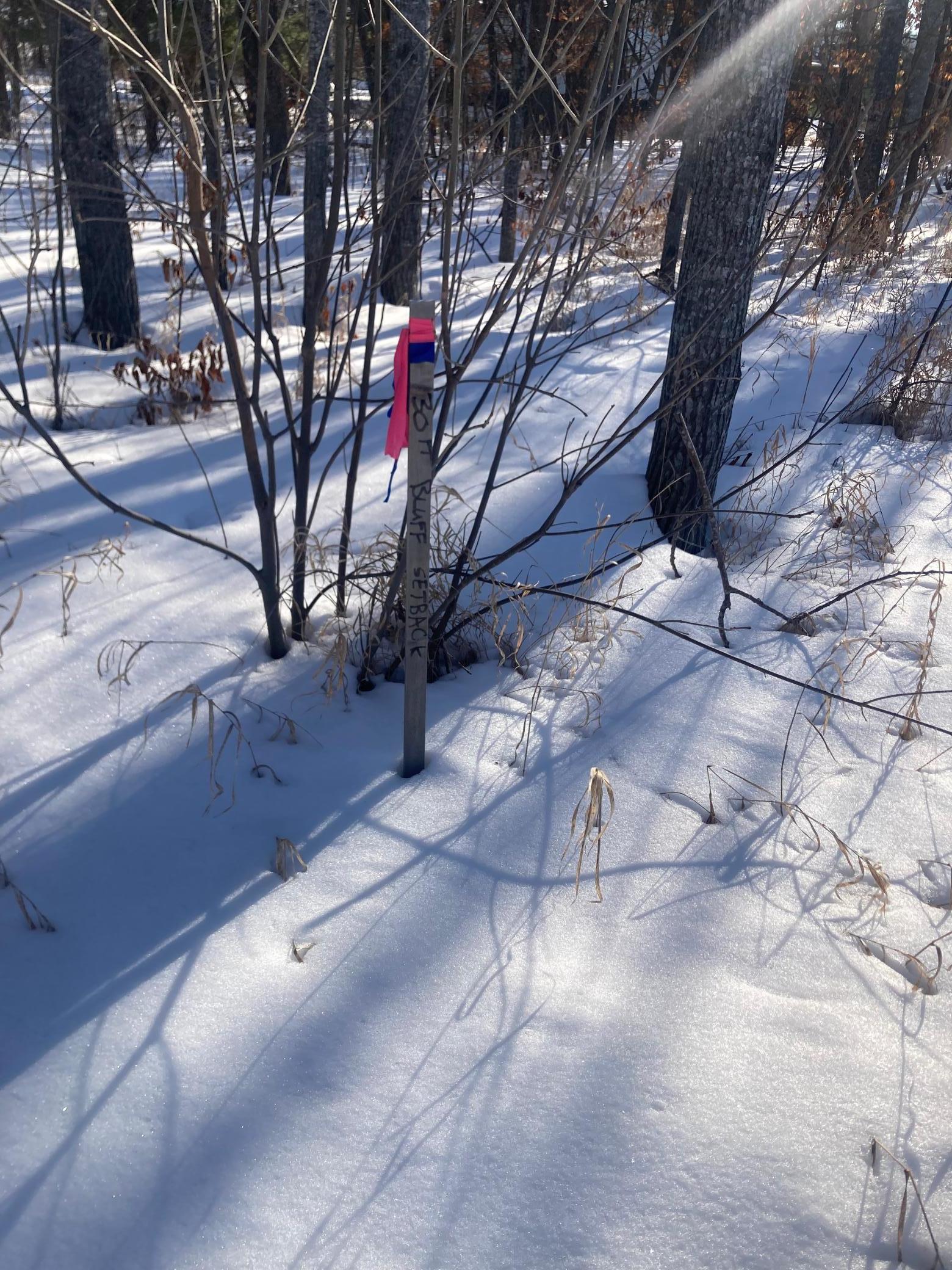 TBD Wild Rose Trail