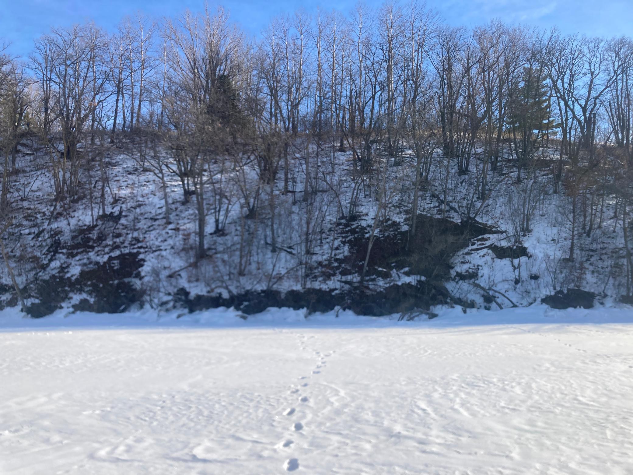 TBD Wild Rose Trail