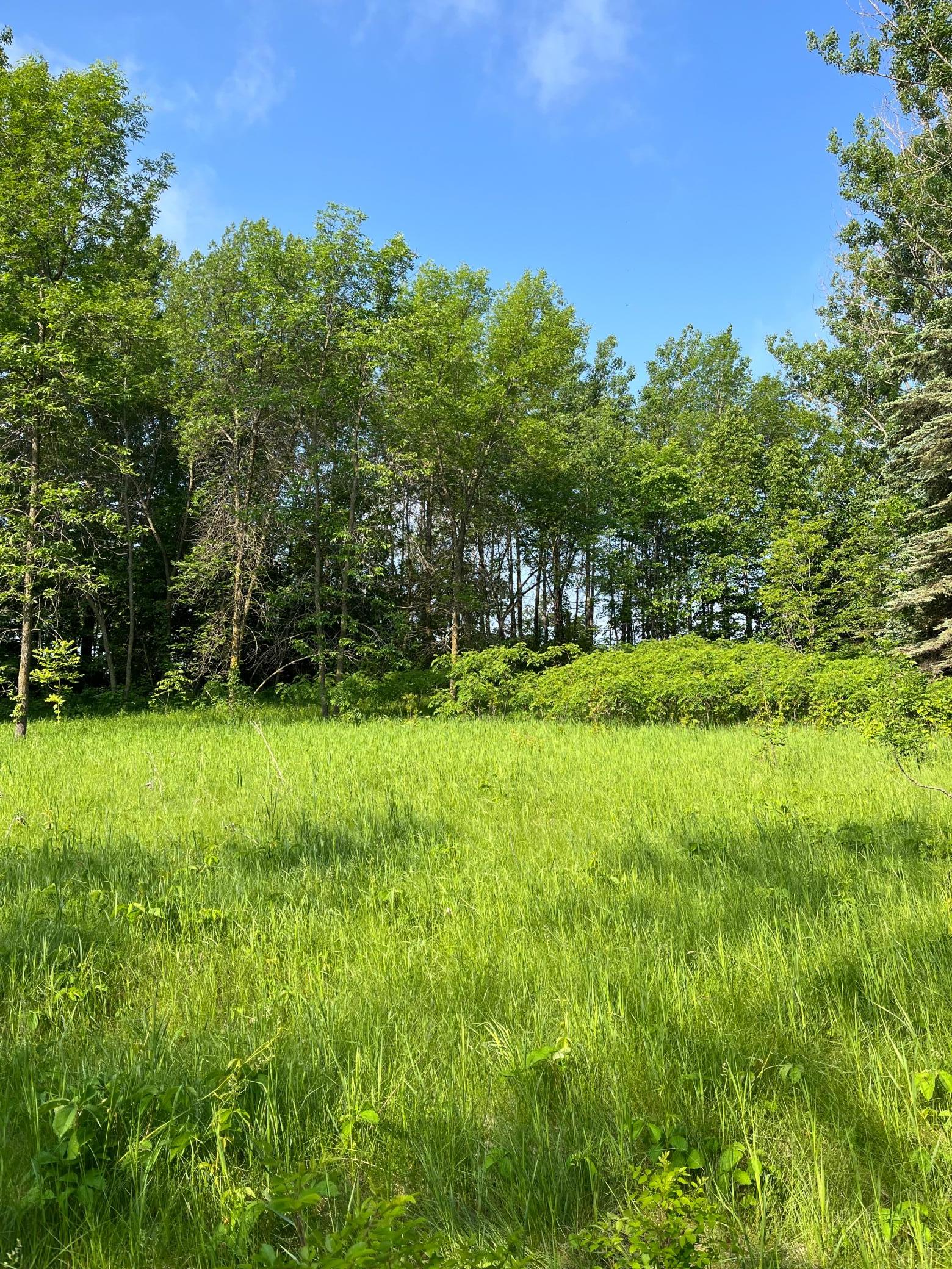 TBD Wild Rose Trail