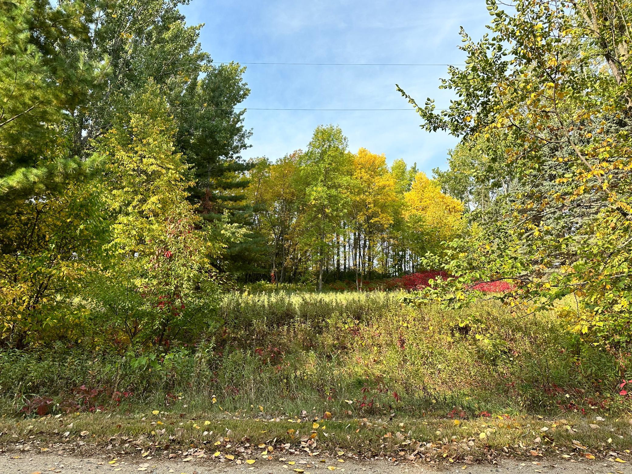TBD Wild Rose Trail