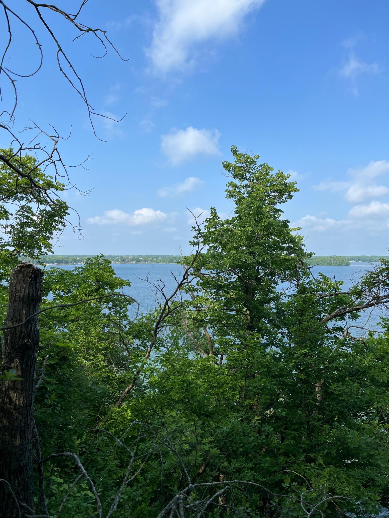 TBD Wild Rose Trail