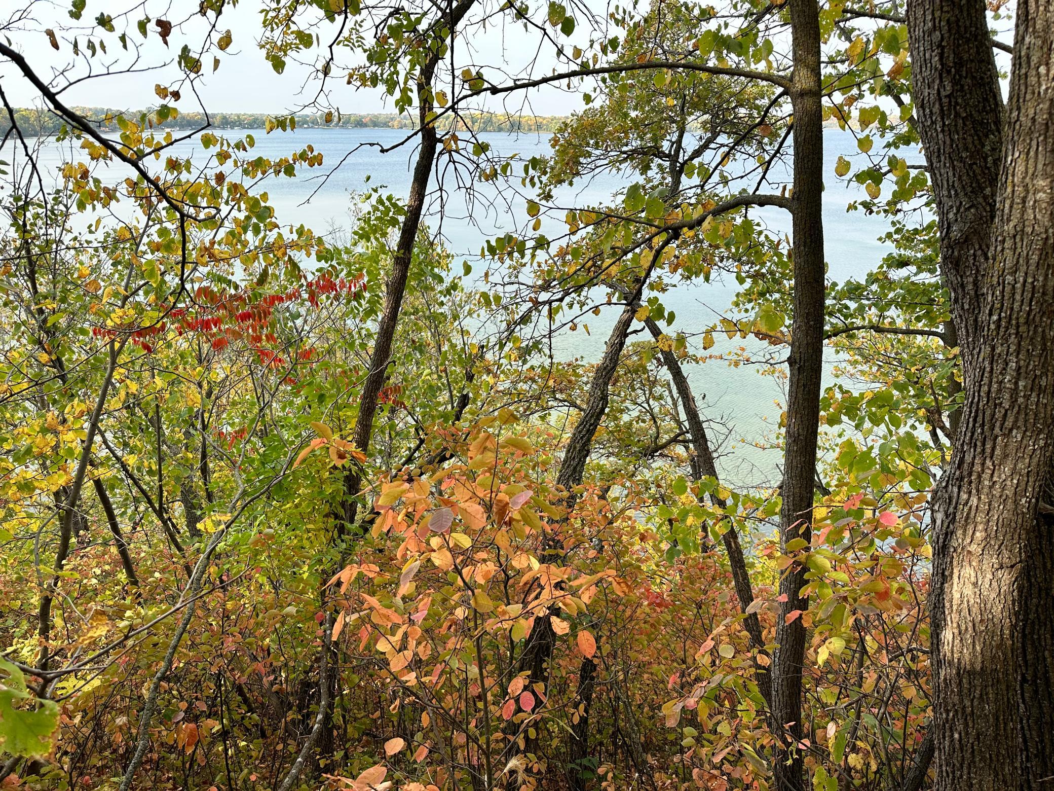 TBD Wild Rose Trail