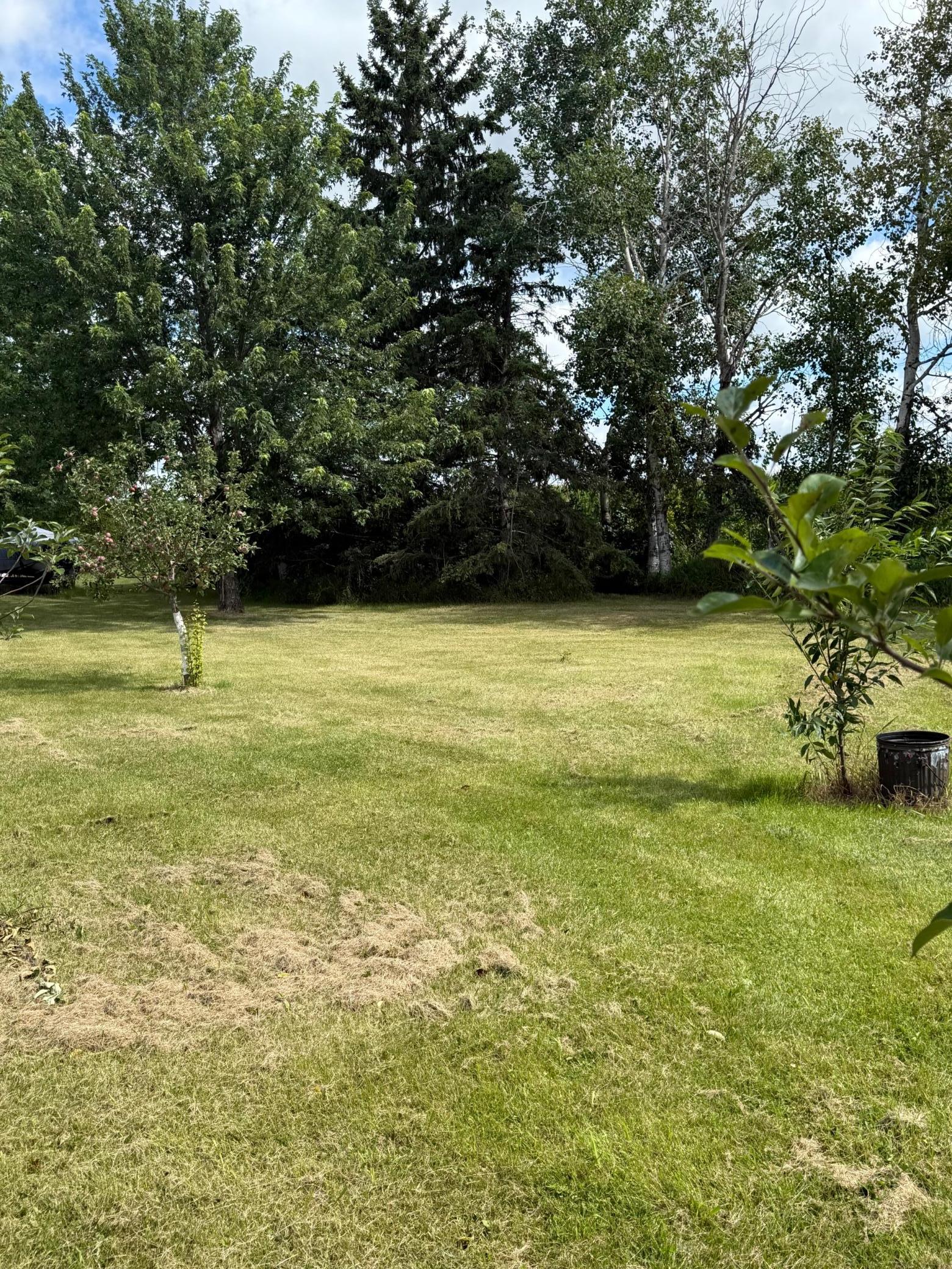 13658 County Road 100