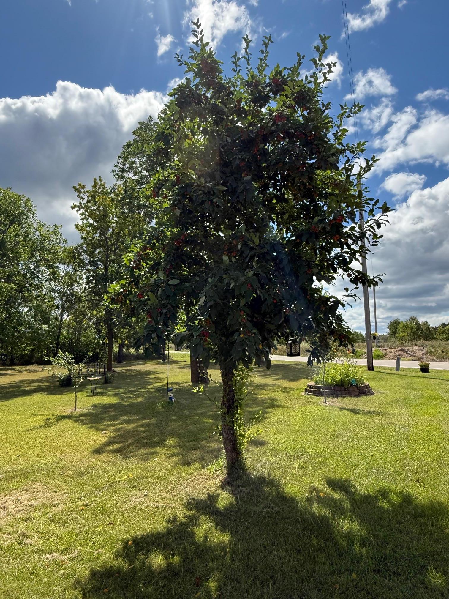 13658 County Road 100