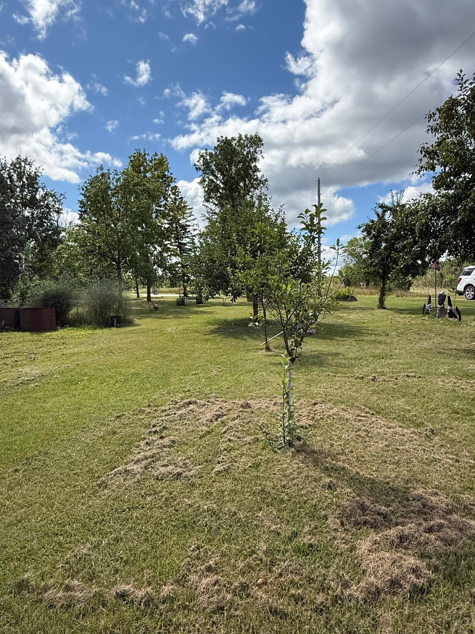 13658 County Road 100