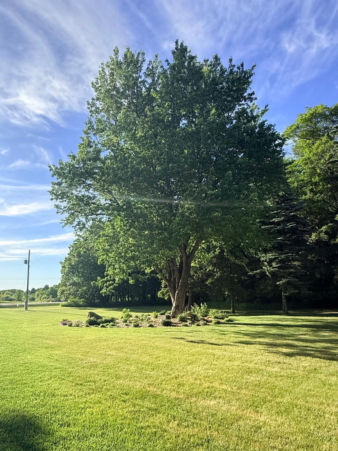 13453 County Highway 11