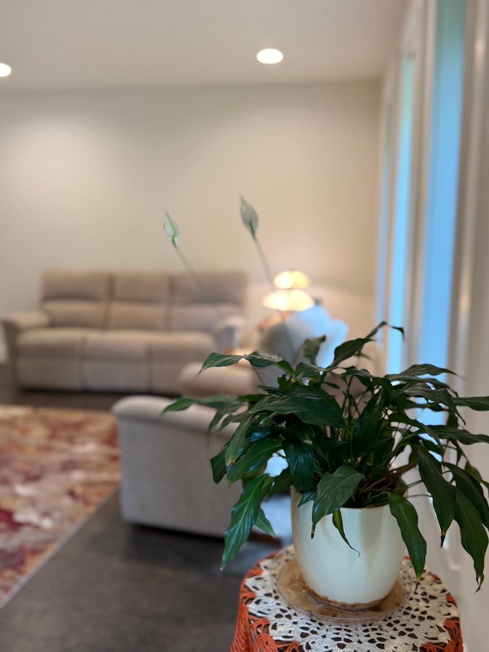 22811 Pearl Circle