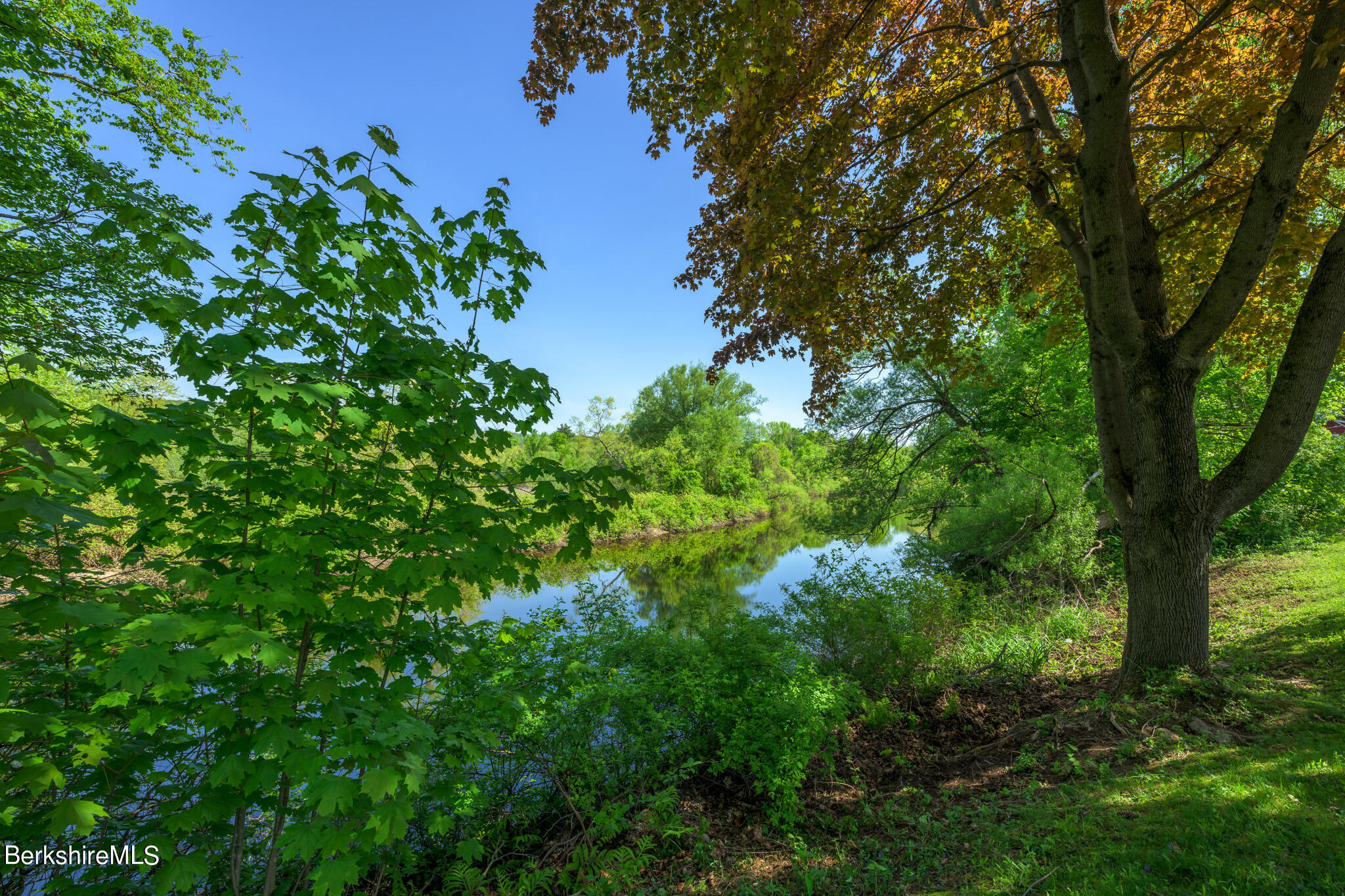 81 Riverview Dr