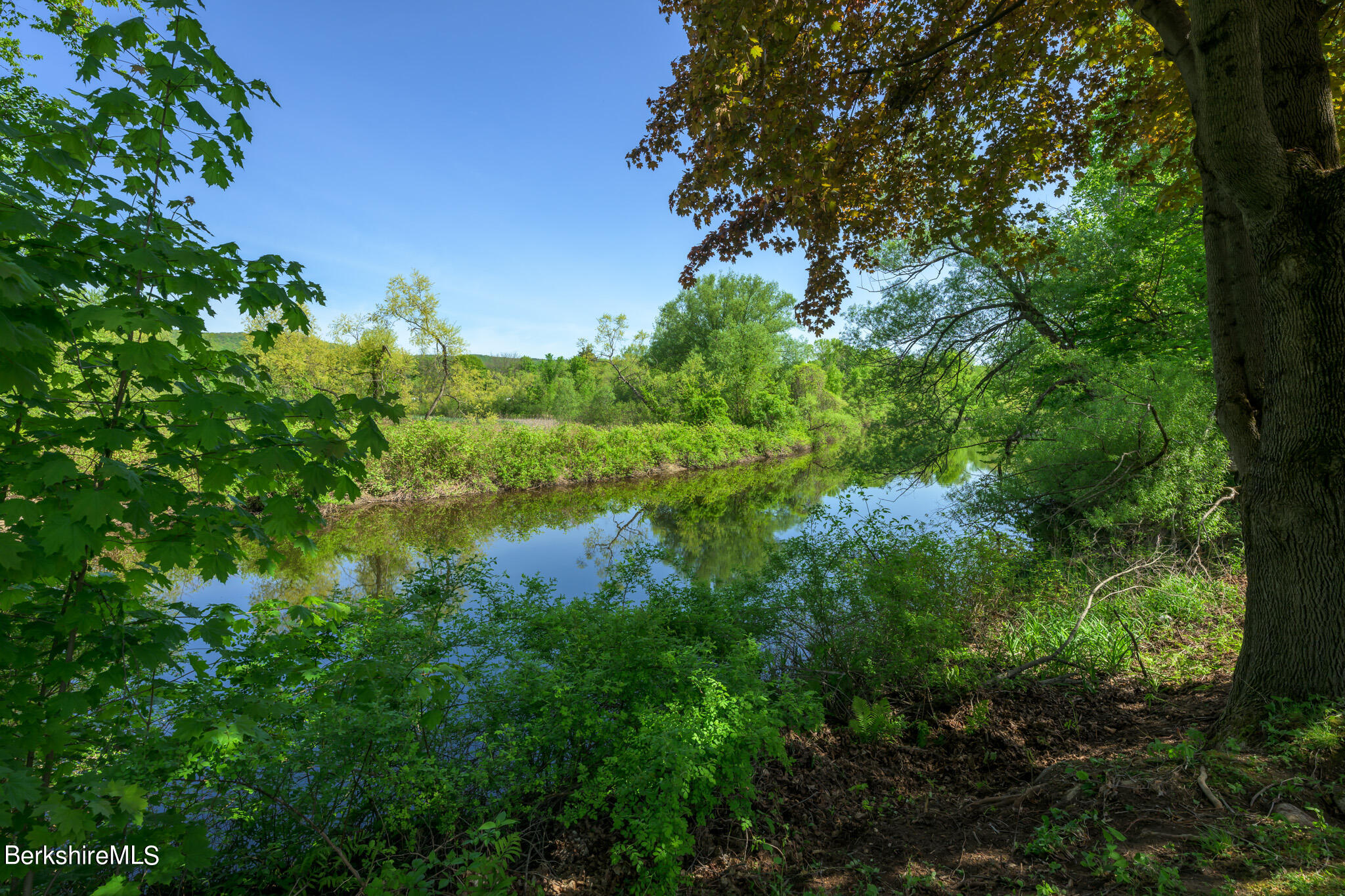 81 Riverview Dr