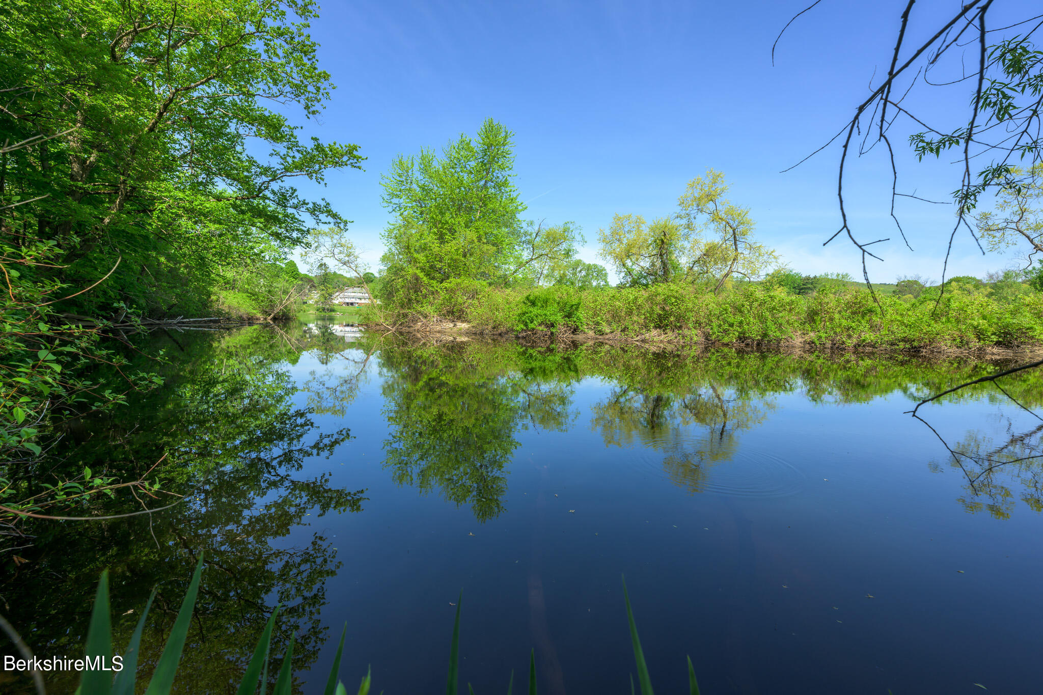 81 Riverview Dr