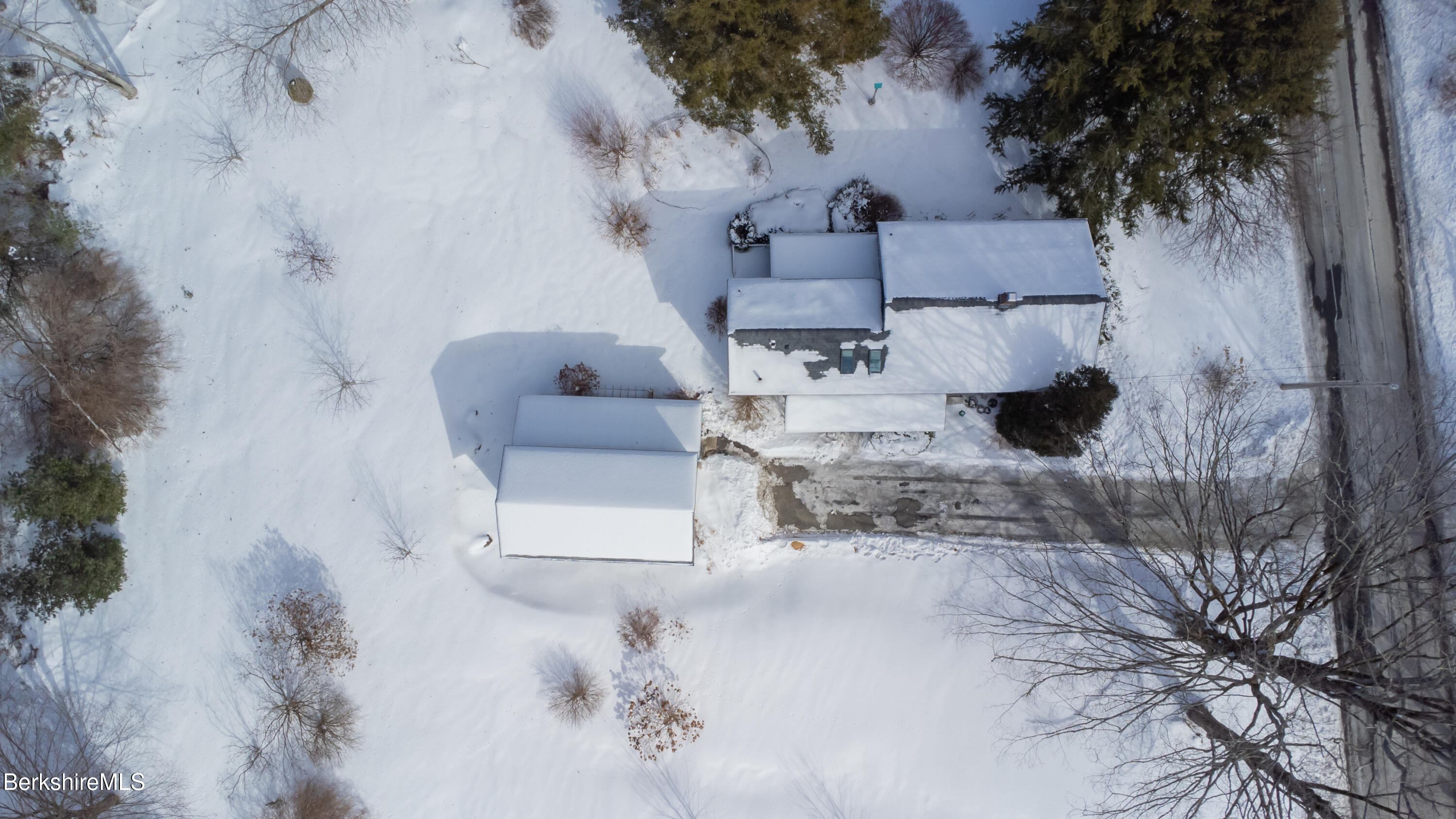 50 pine St