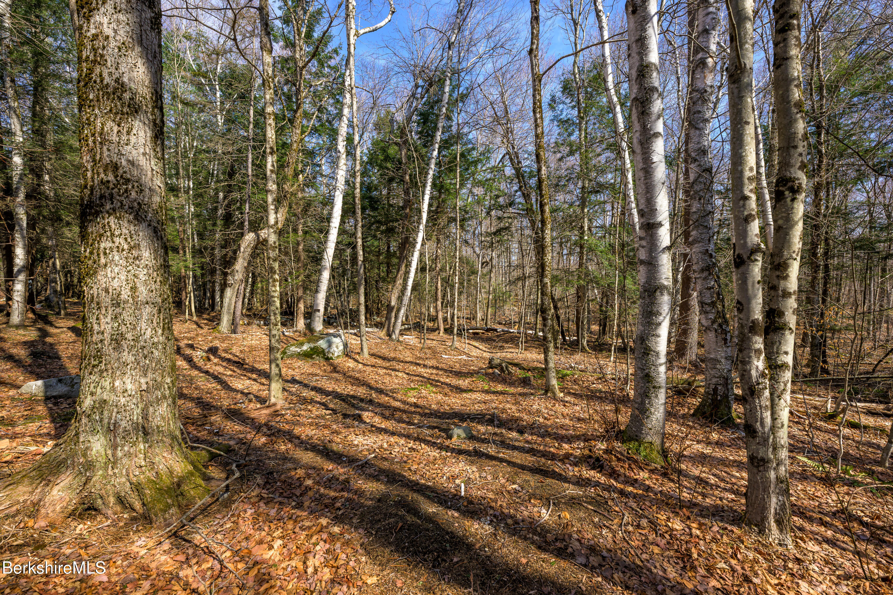 106 Stoney Brook Rd