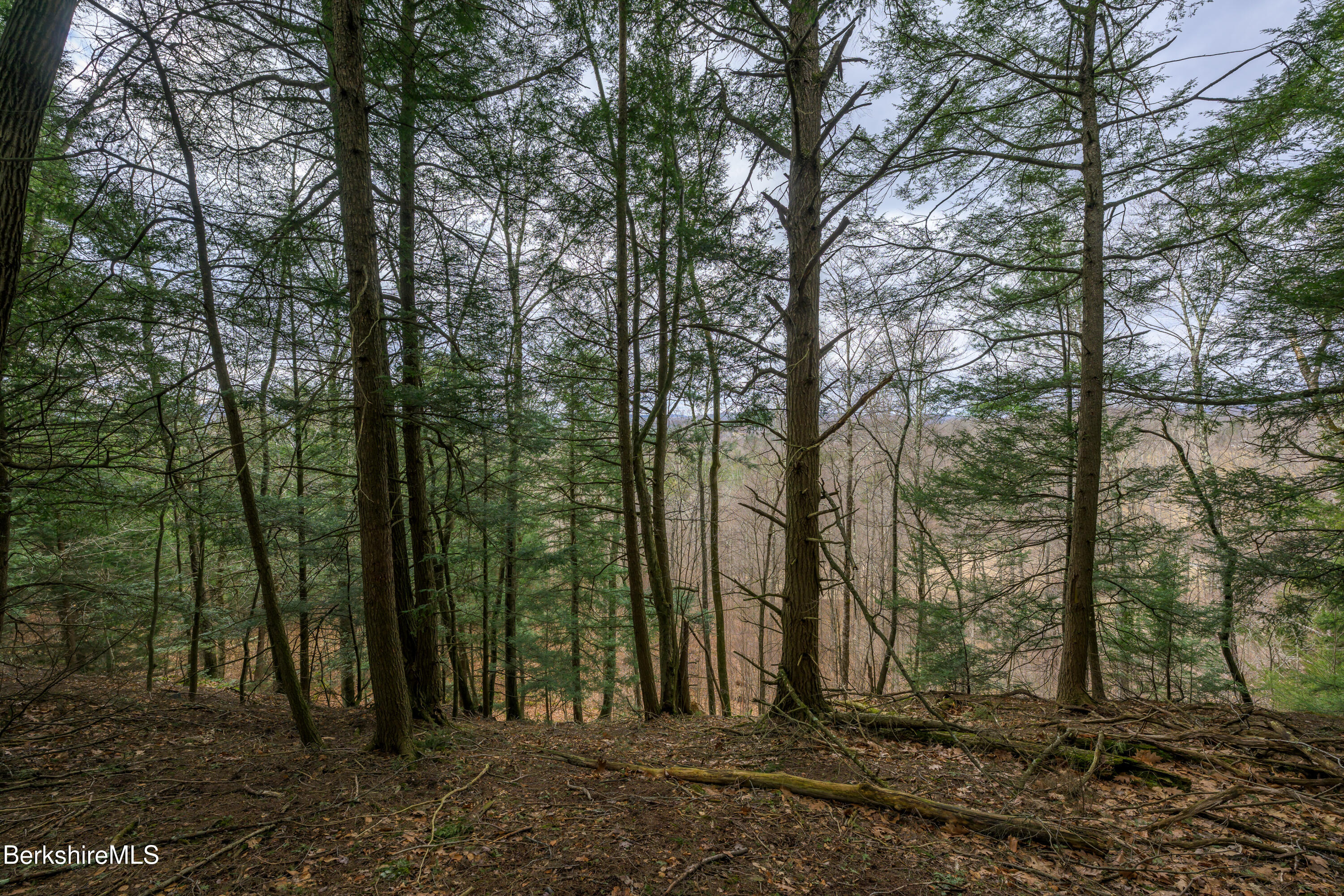 206 Stevens Glen Rd