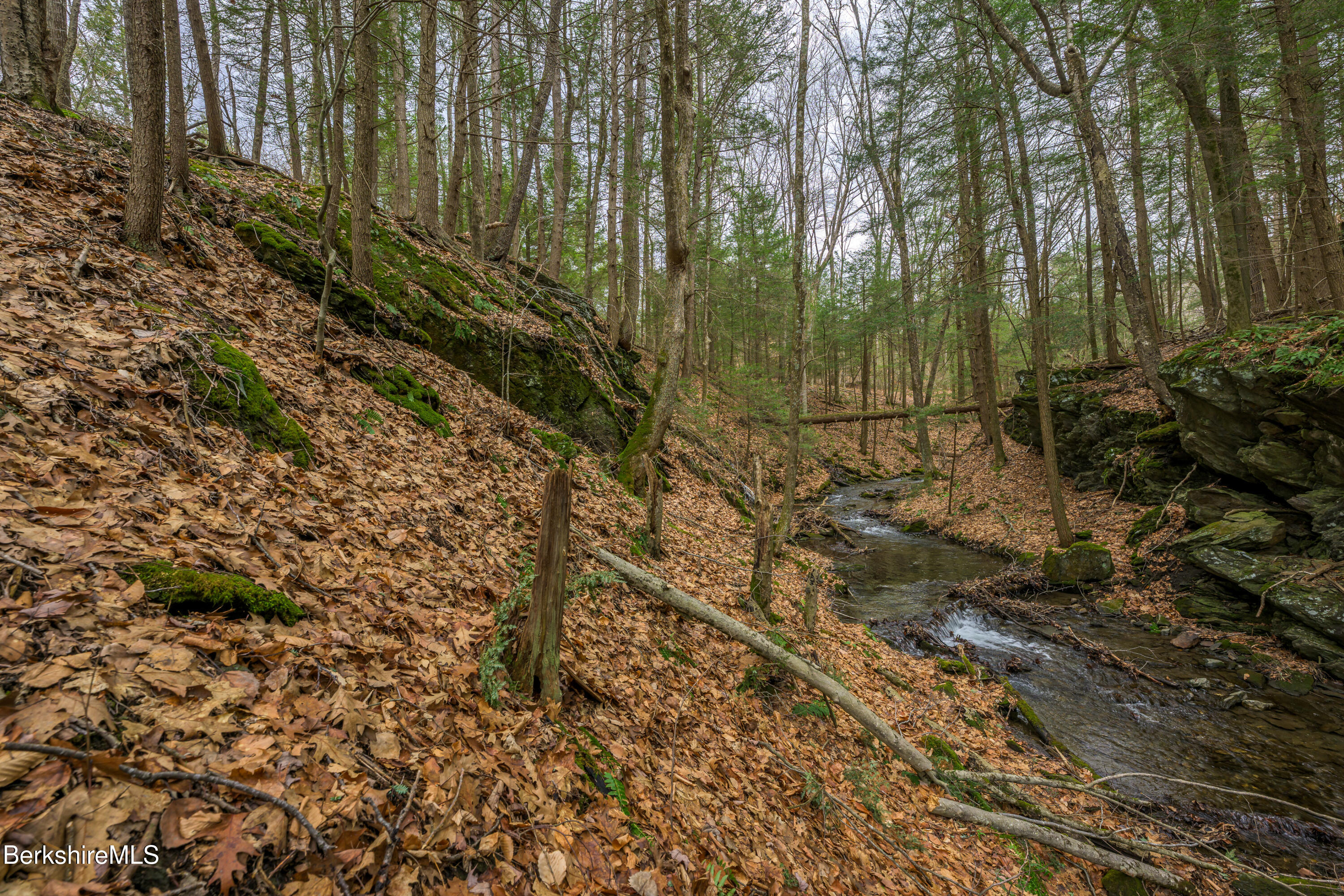 206 Stevens Glen Rd