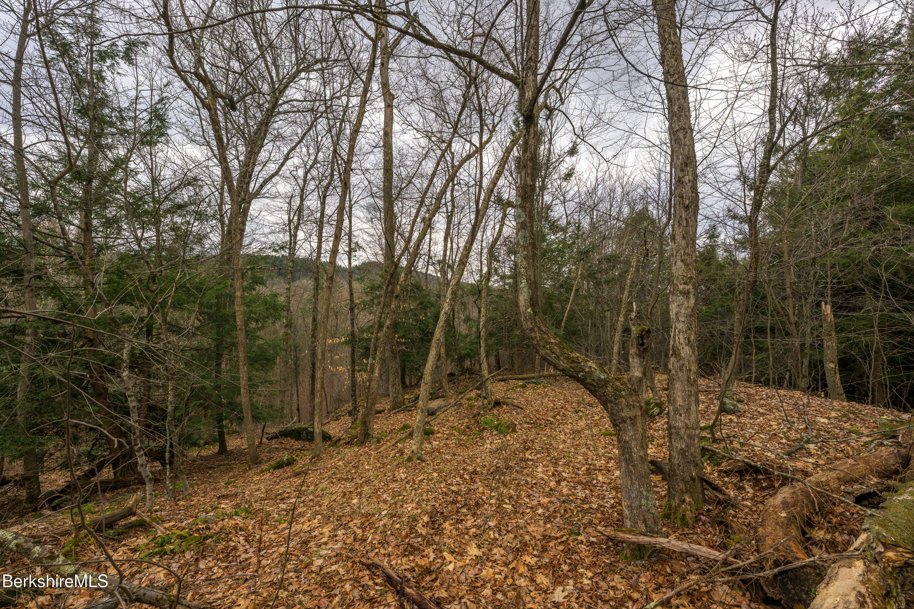 206 Stevens Glen Rd