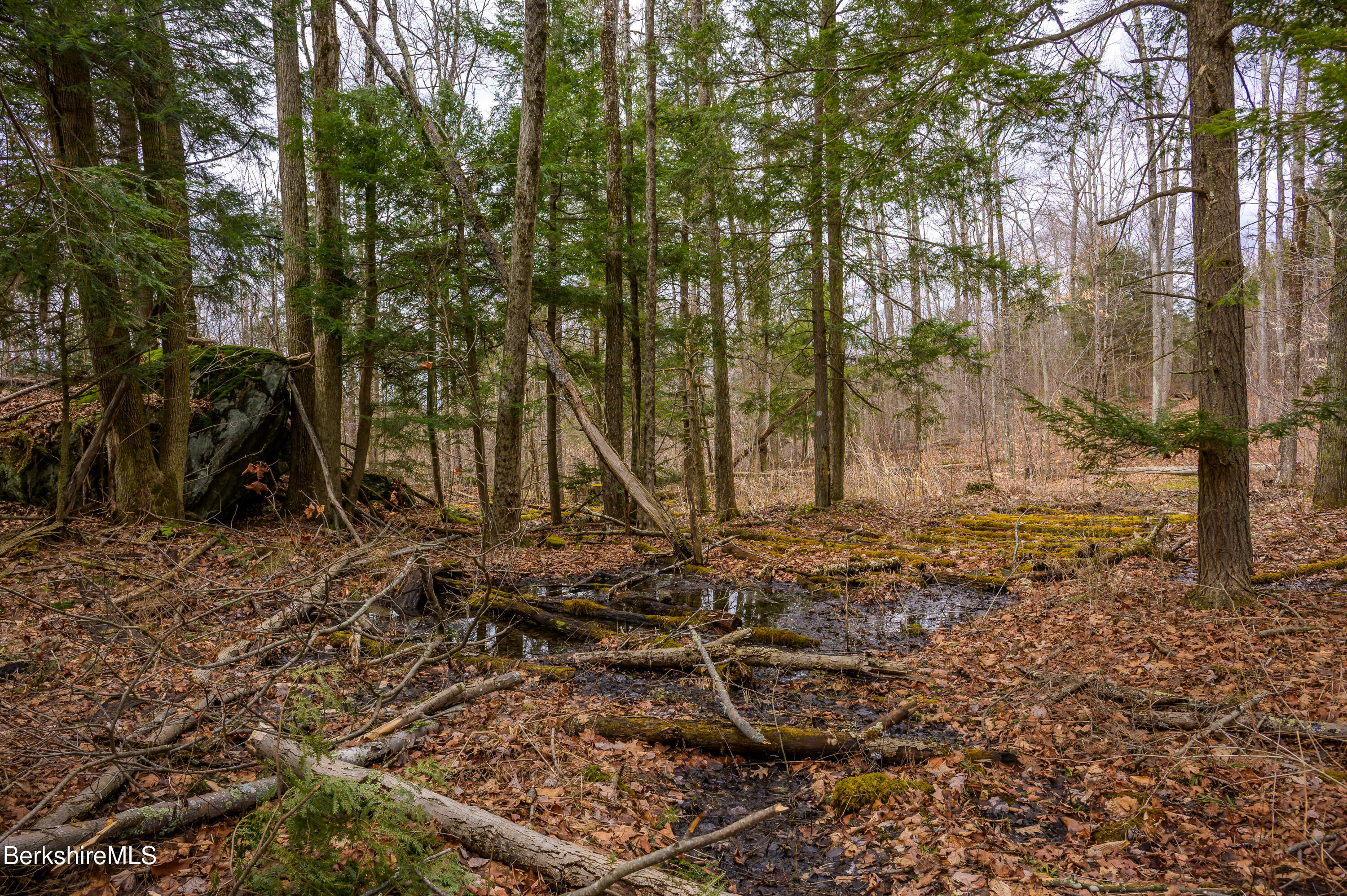 206 Stevens Glen Rd