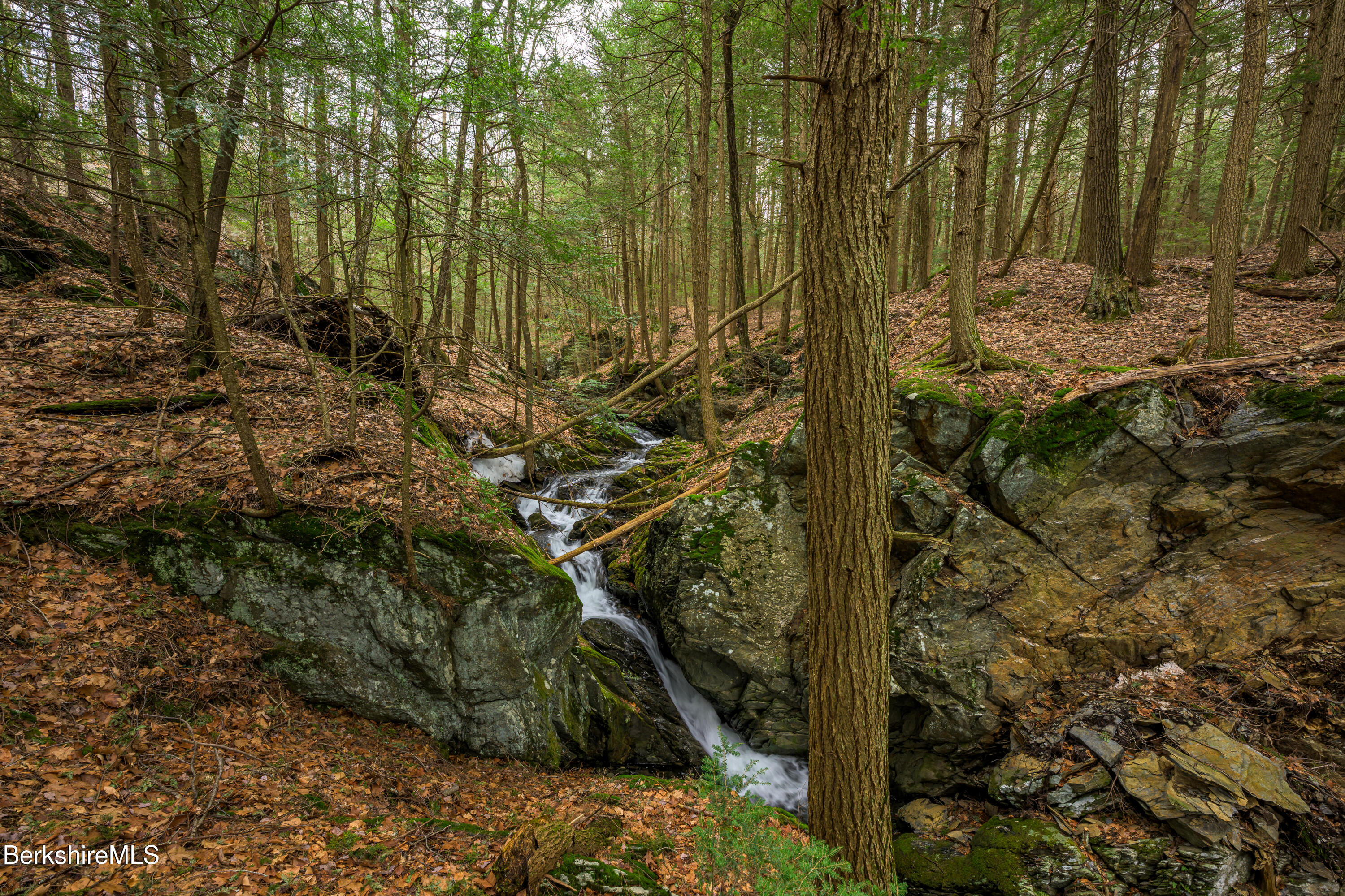 206 Stevens Glen Rd