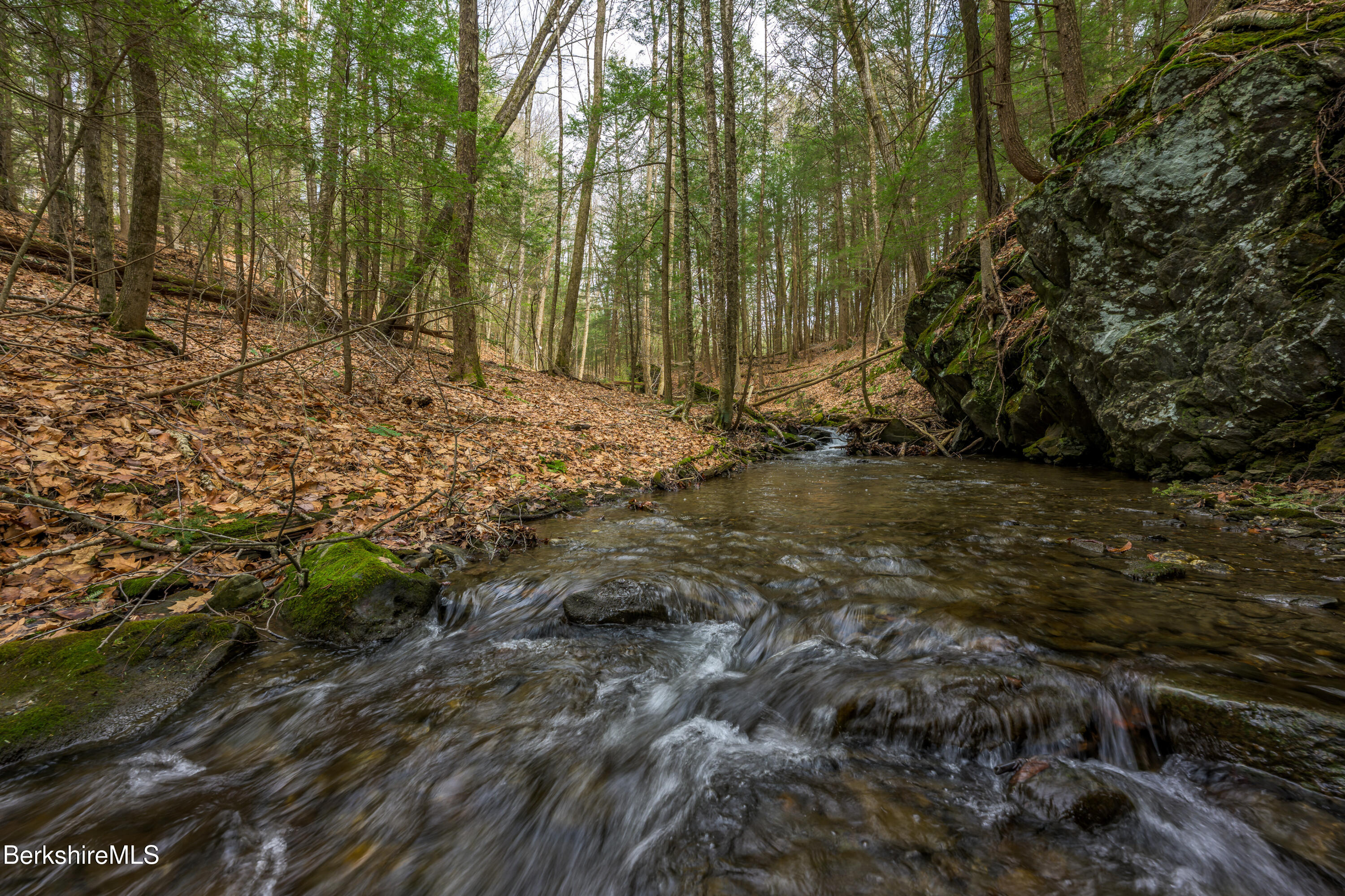 206 Stevens Glen Rd