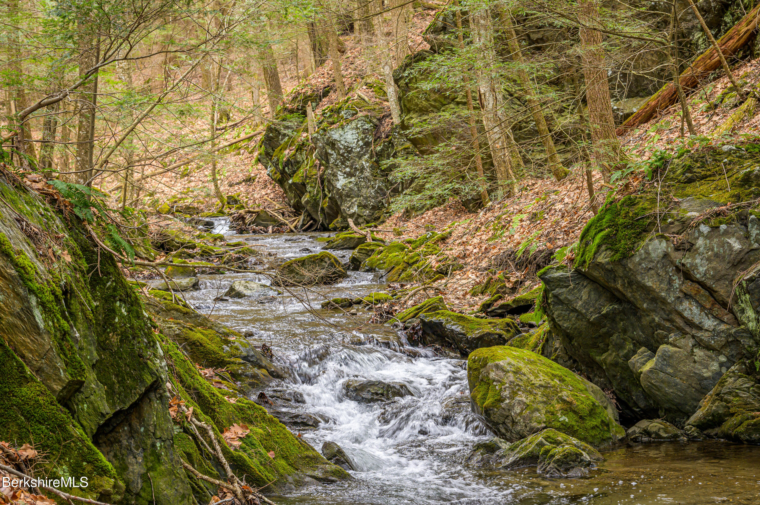 206 Stevens Glen Rd