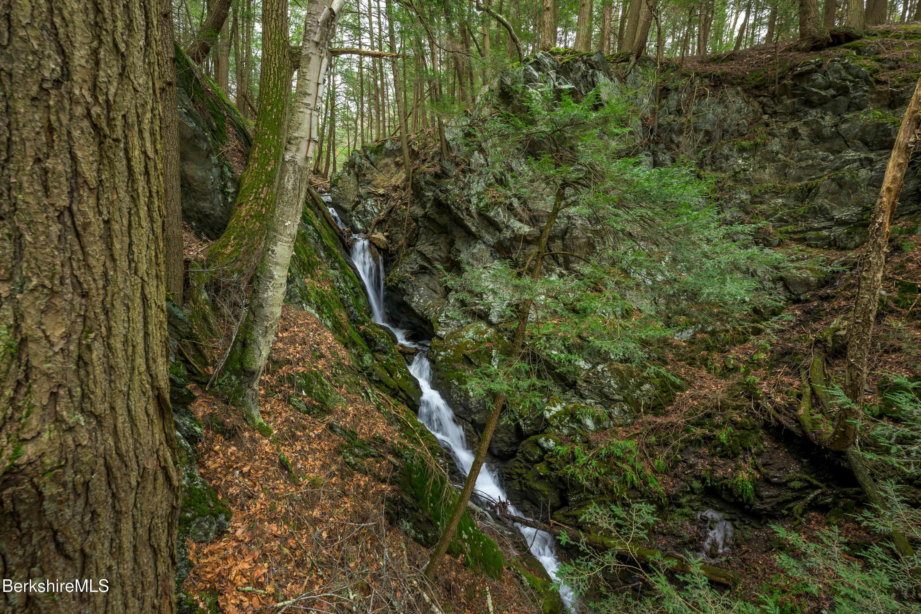 206 Stevens Glen Rd