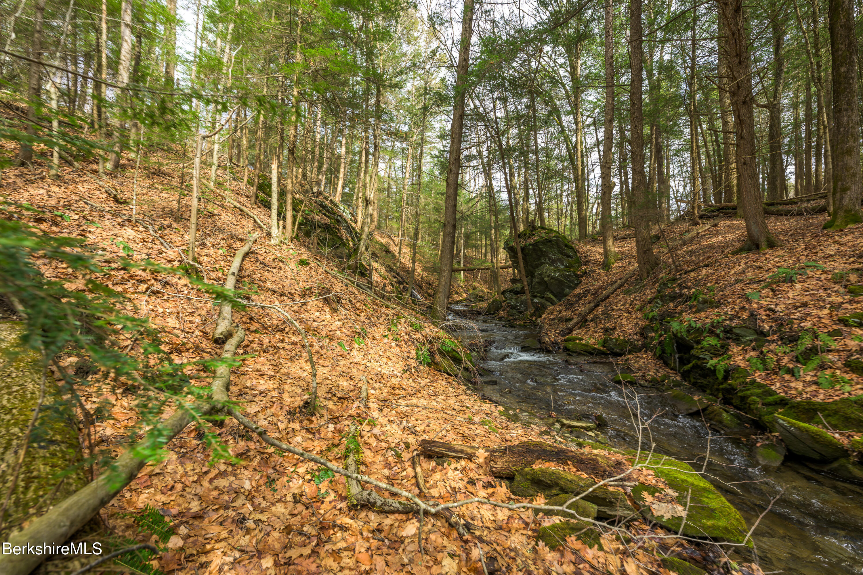 206 Stevens Glen Rd