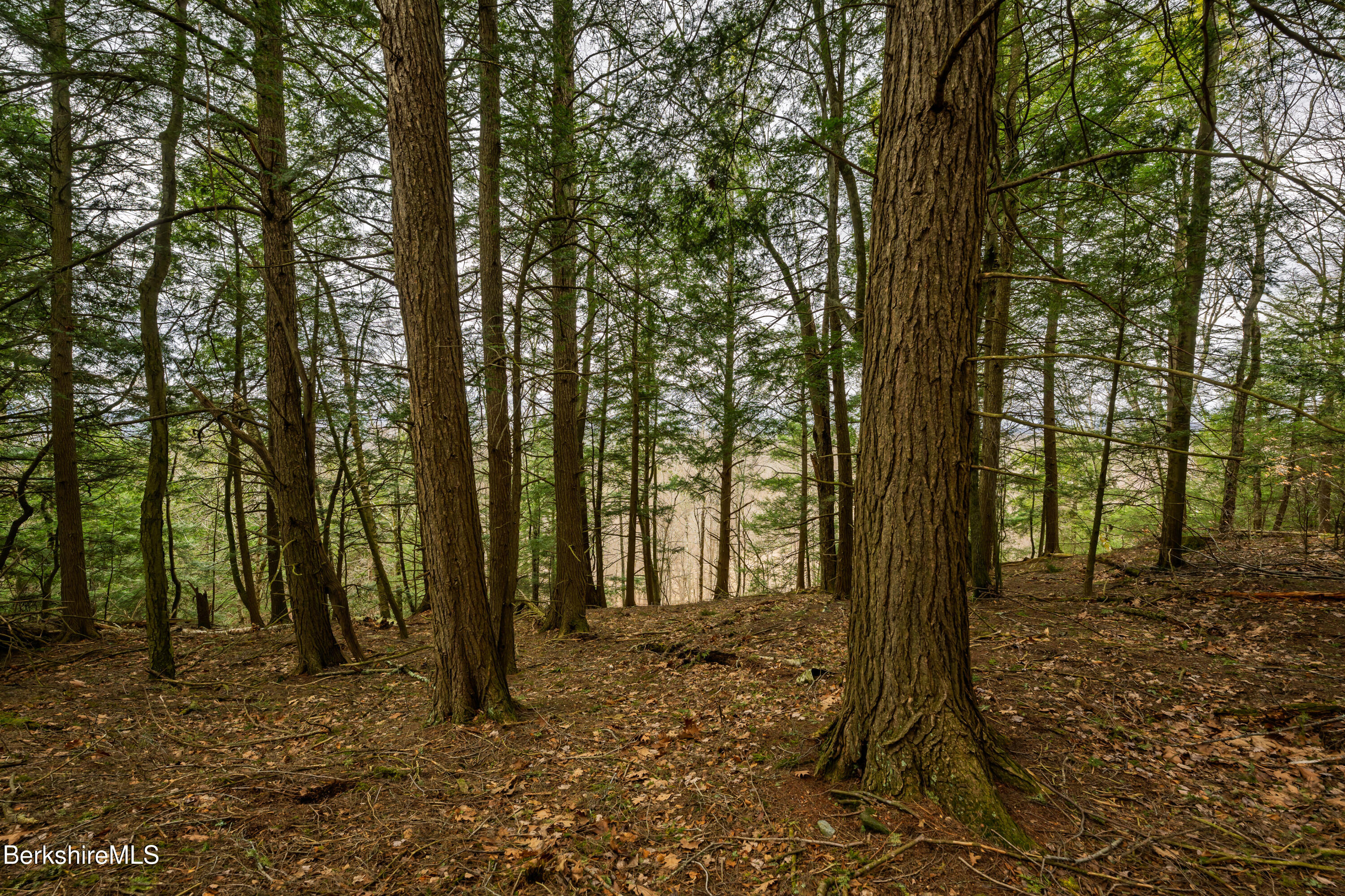 206 Stevens Glen Rd