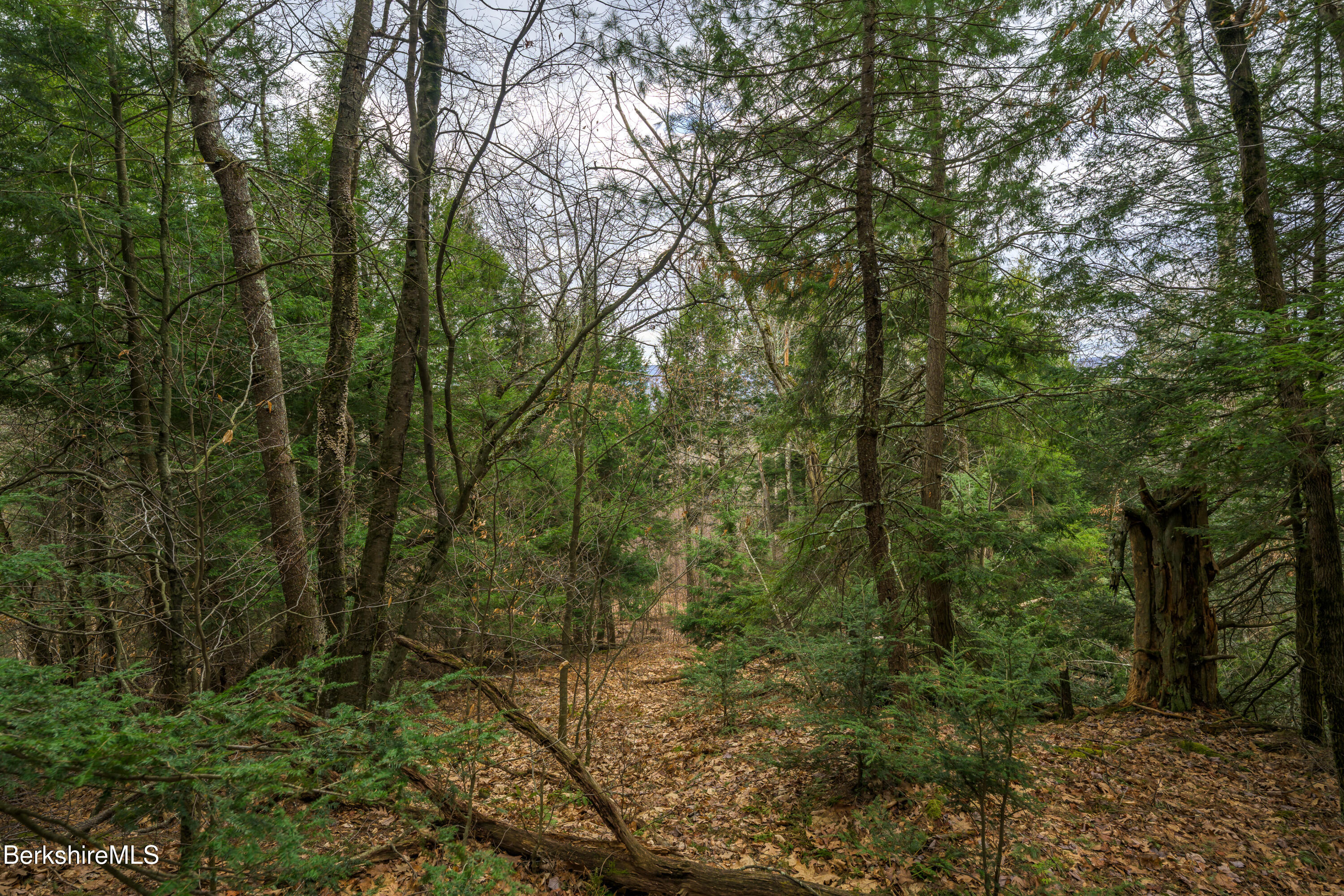 206 Stevens Glen Rd