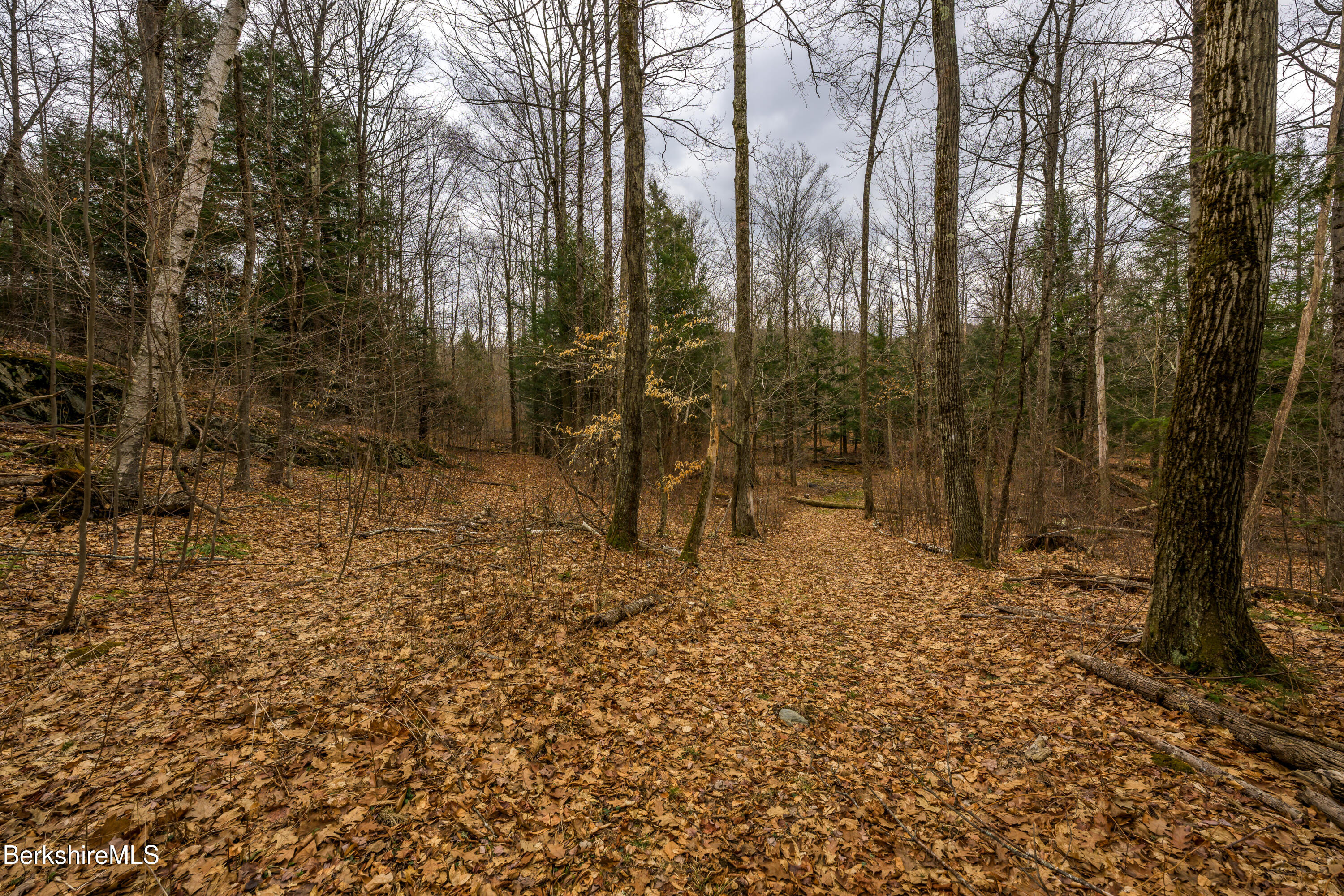 206 Stevens Glen Rd