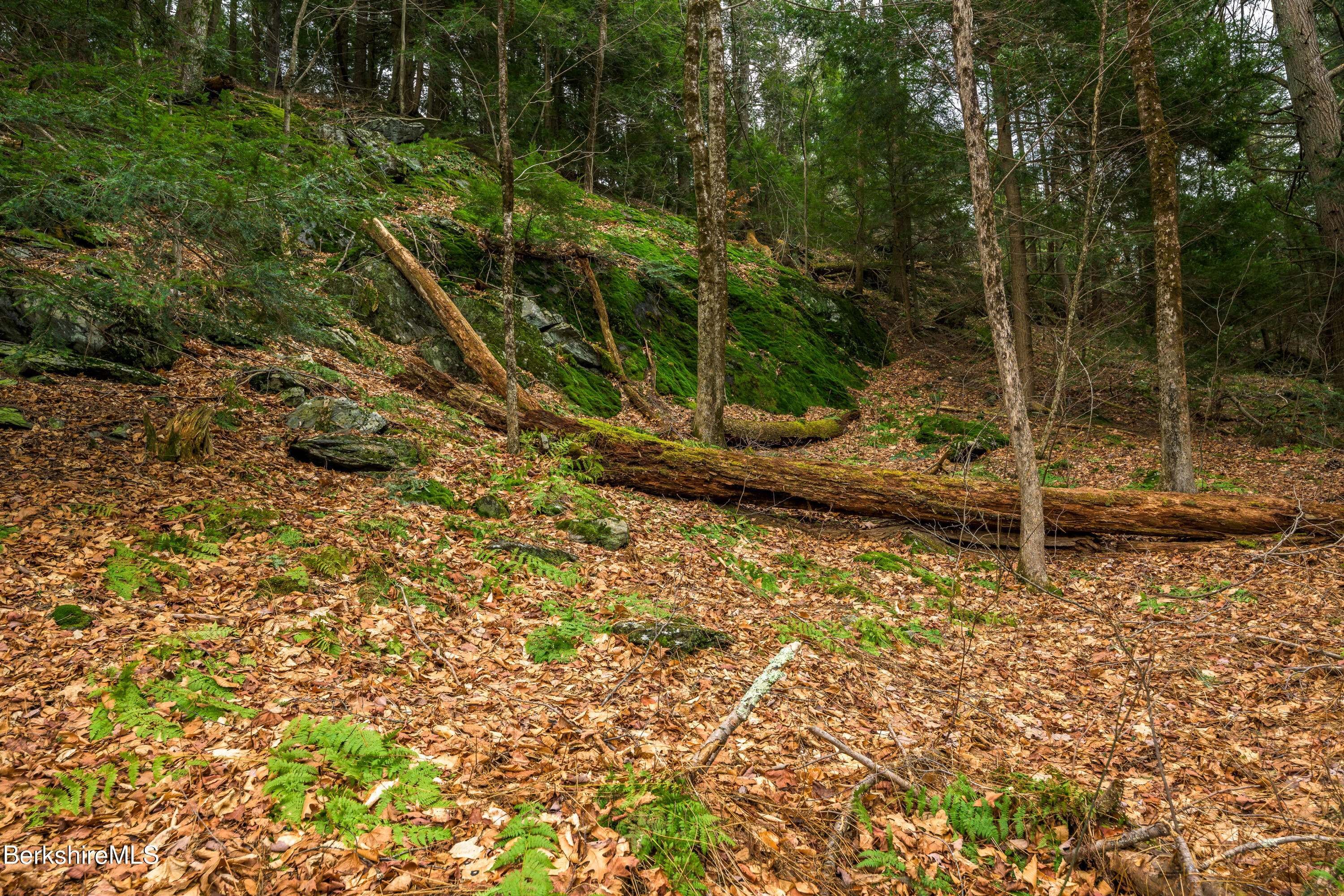 206 Stevens Glen Rd