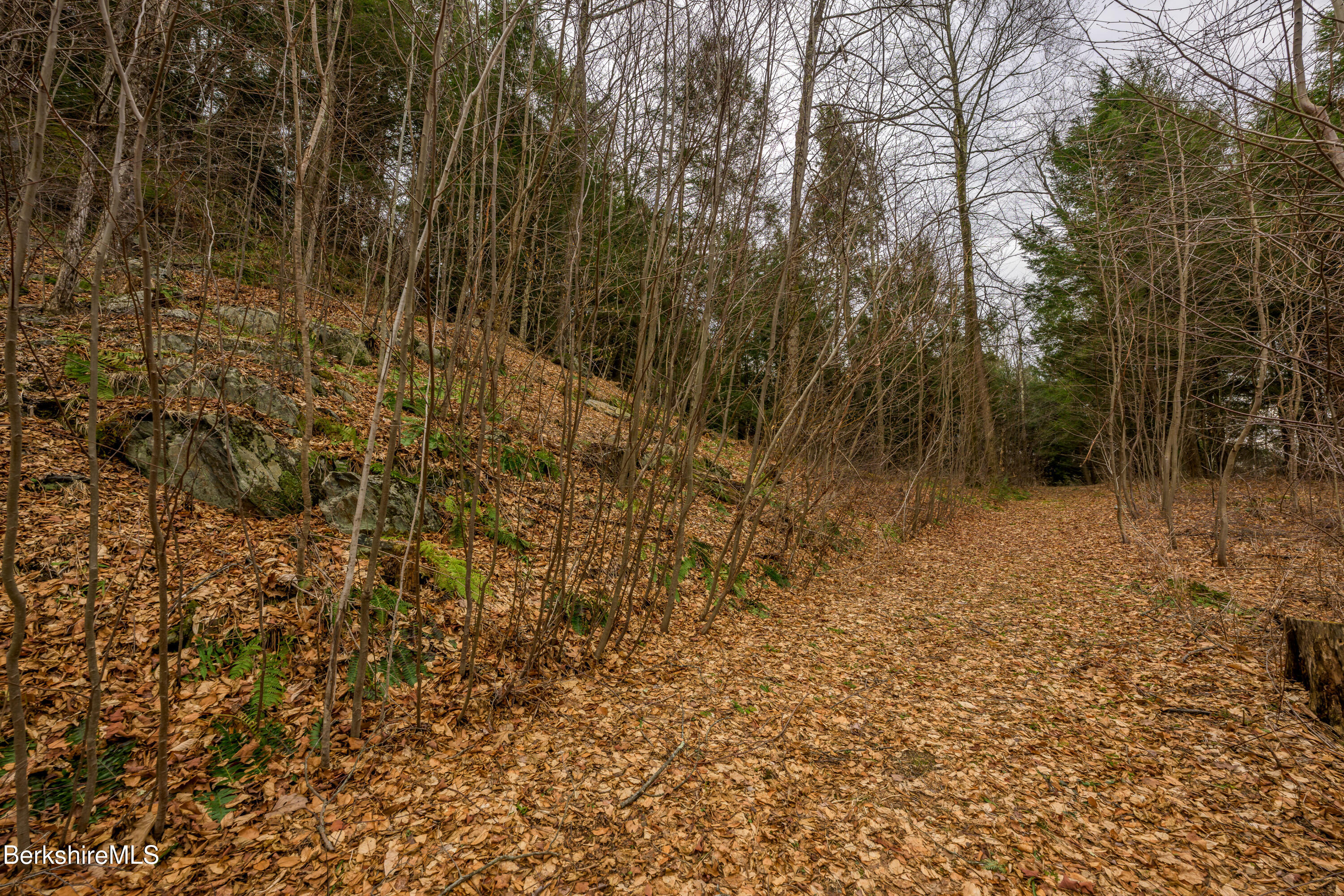 206 Stevens Glen Rd