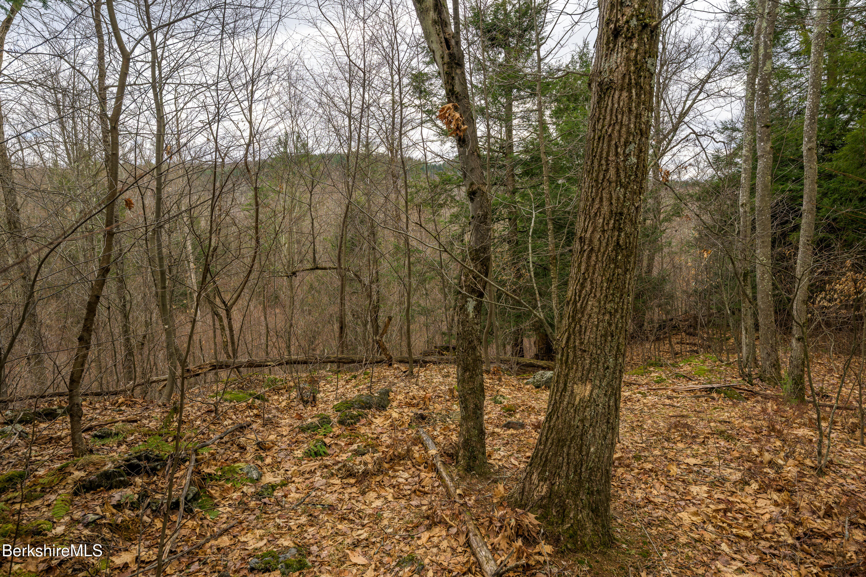 206 Stevens Glen Rd
