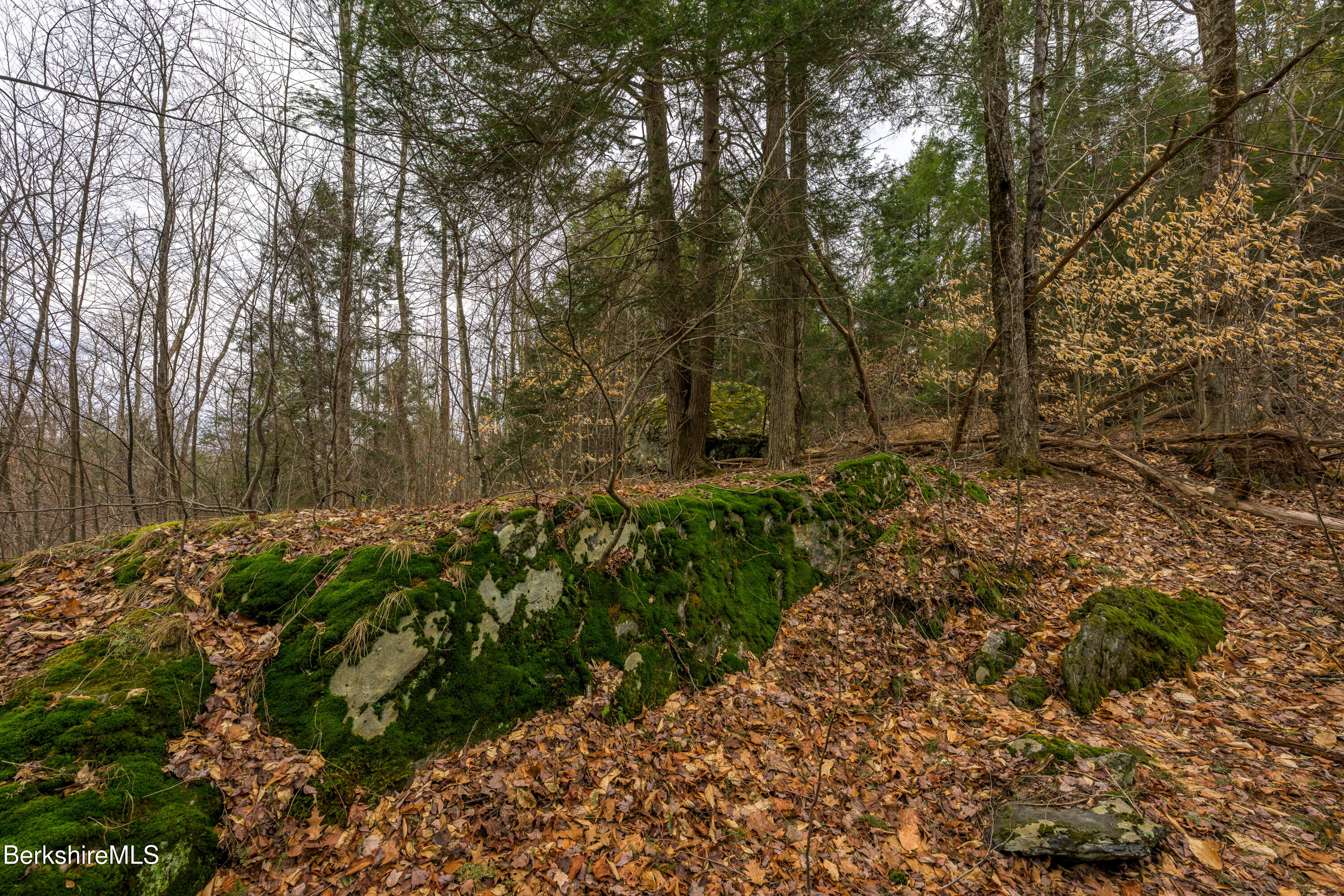 206 Stevens Glen Rd