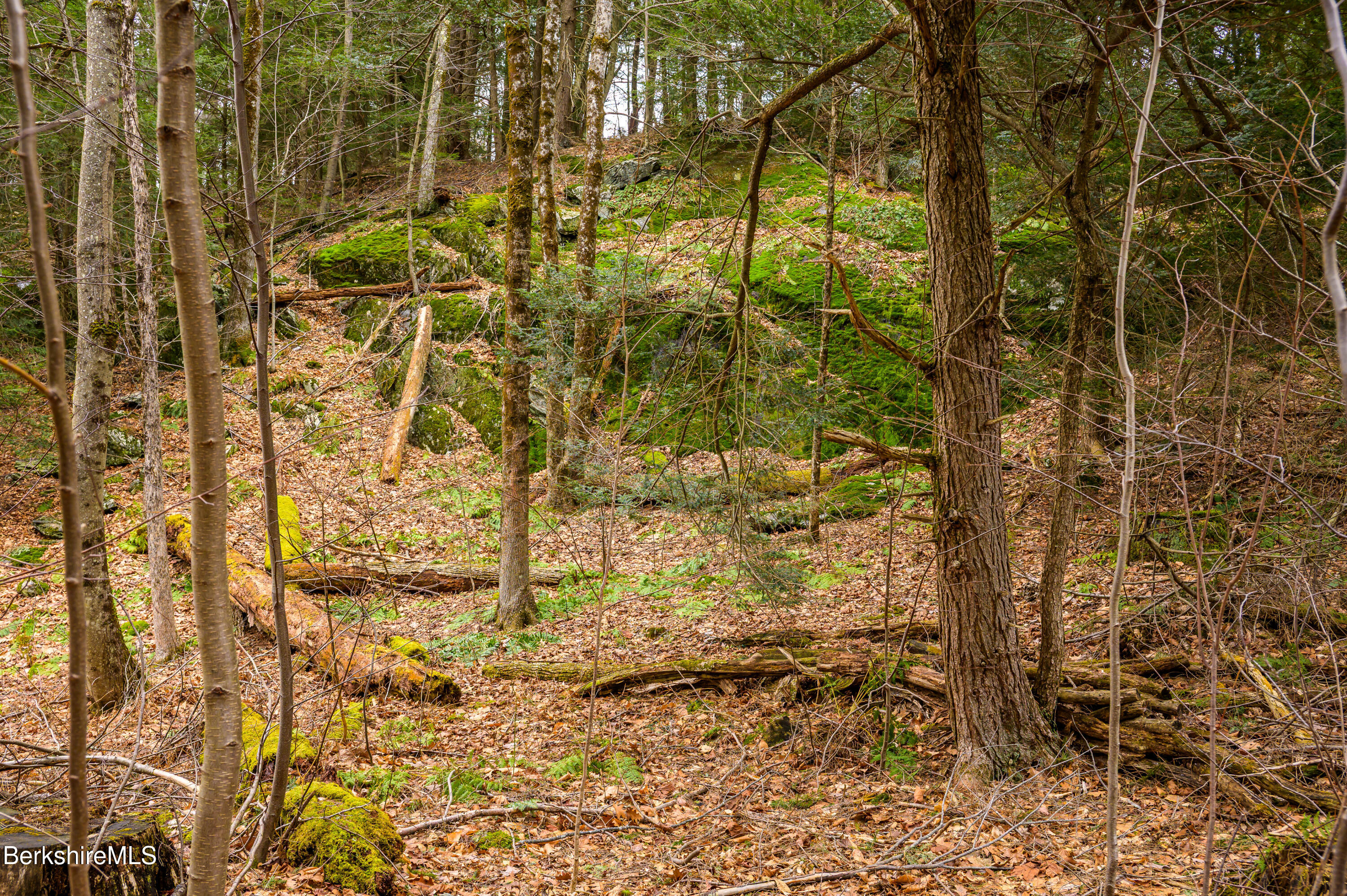 206 Stevens Glen Rd