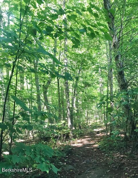 2 Evergreen Trail, 2