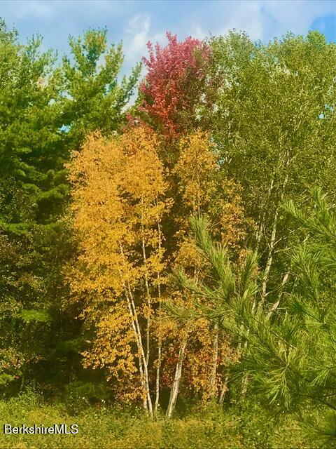 2 Evergreen Trail, 2