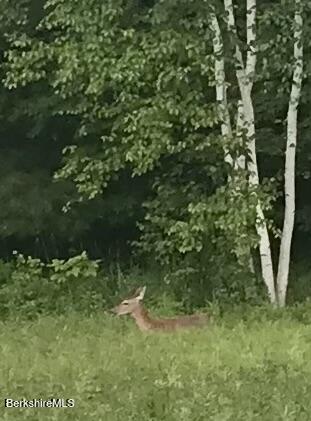 2 Evergreen Trail, 2