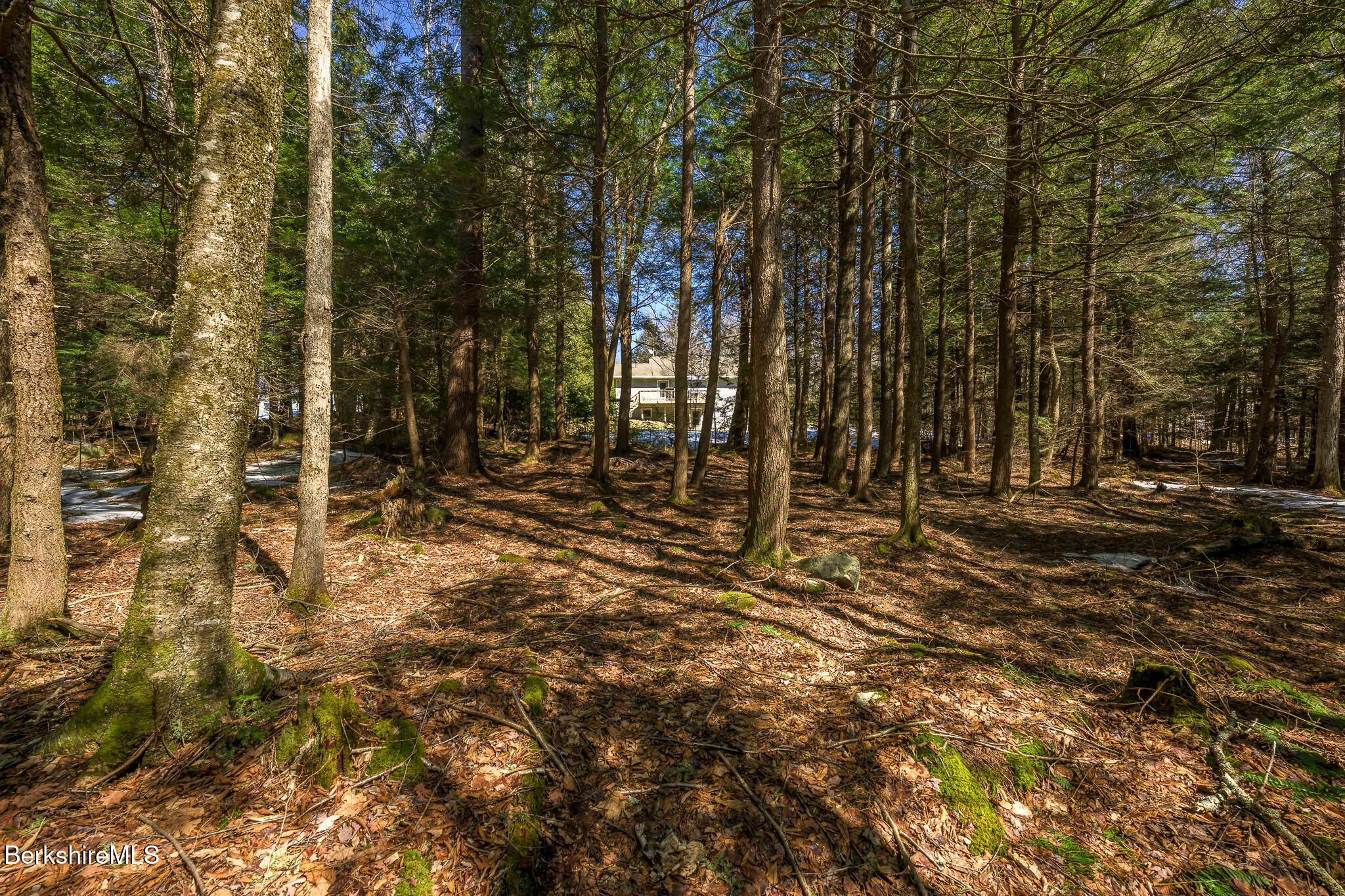 545 Center Rd