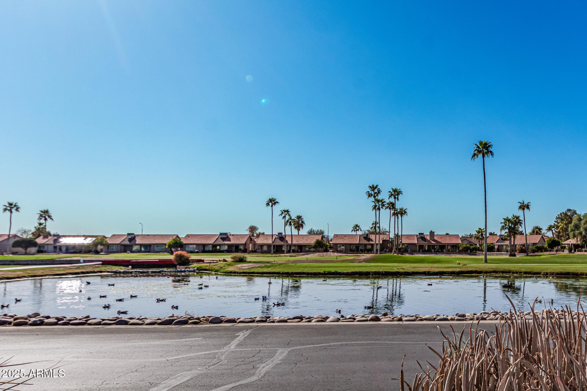 1583 E PALM BEACH Drive