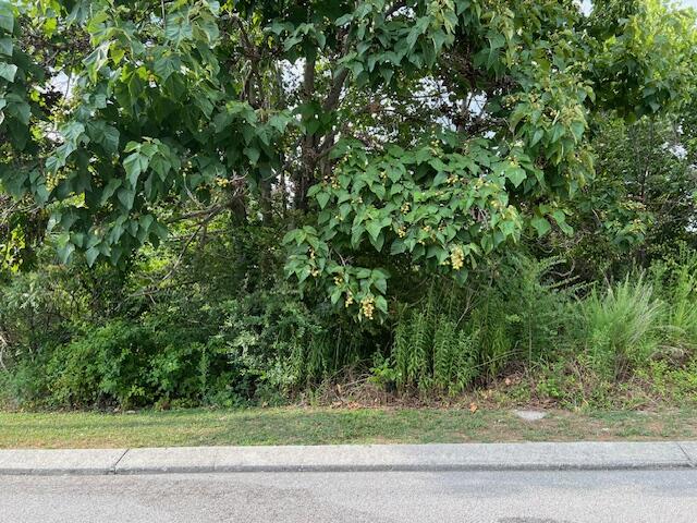 2118+2112 Short Leaf Lane, (Lots 66+67)