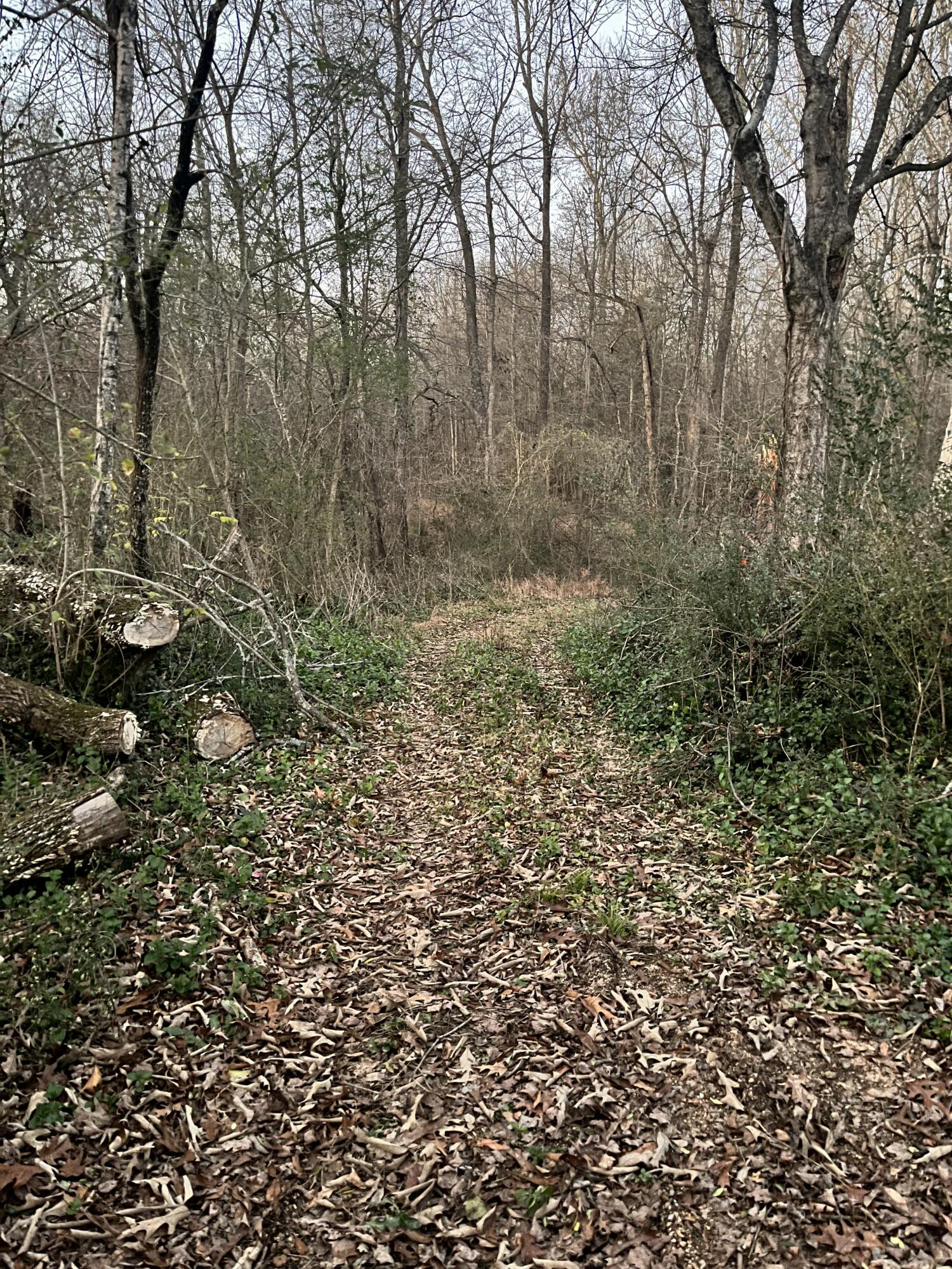 5411 Old Hixson Pike