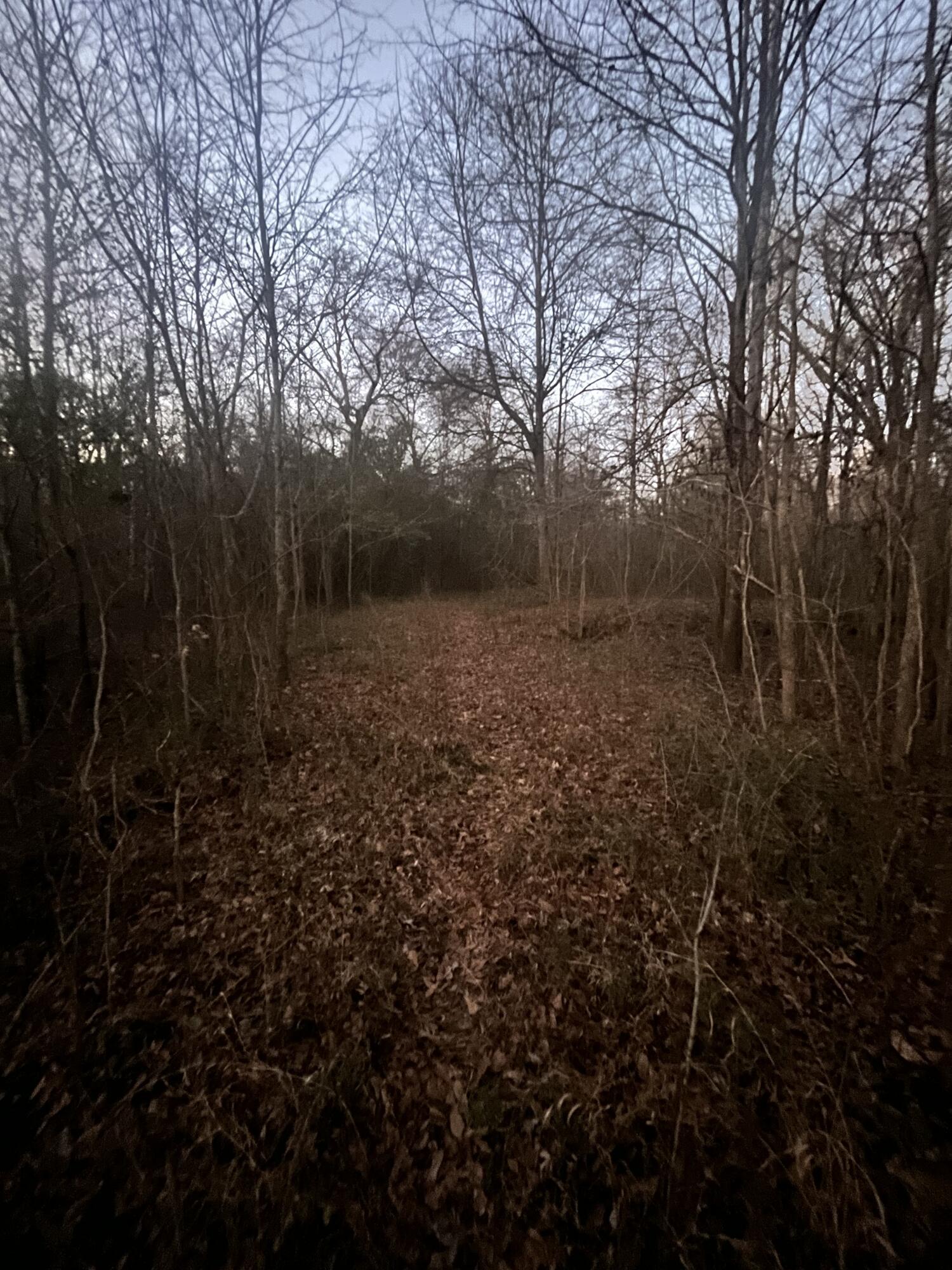 5411 Old Hixson Pike