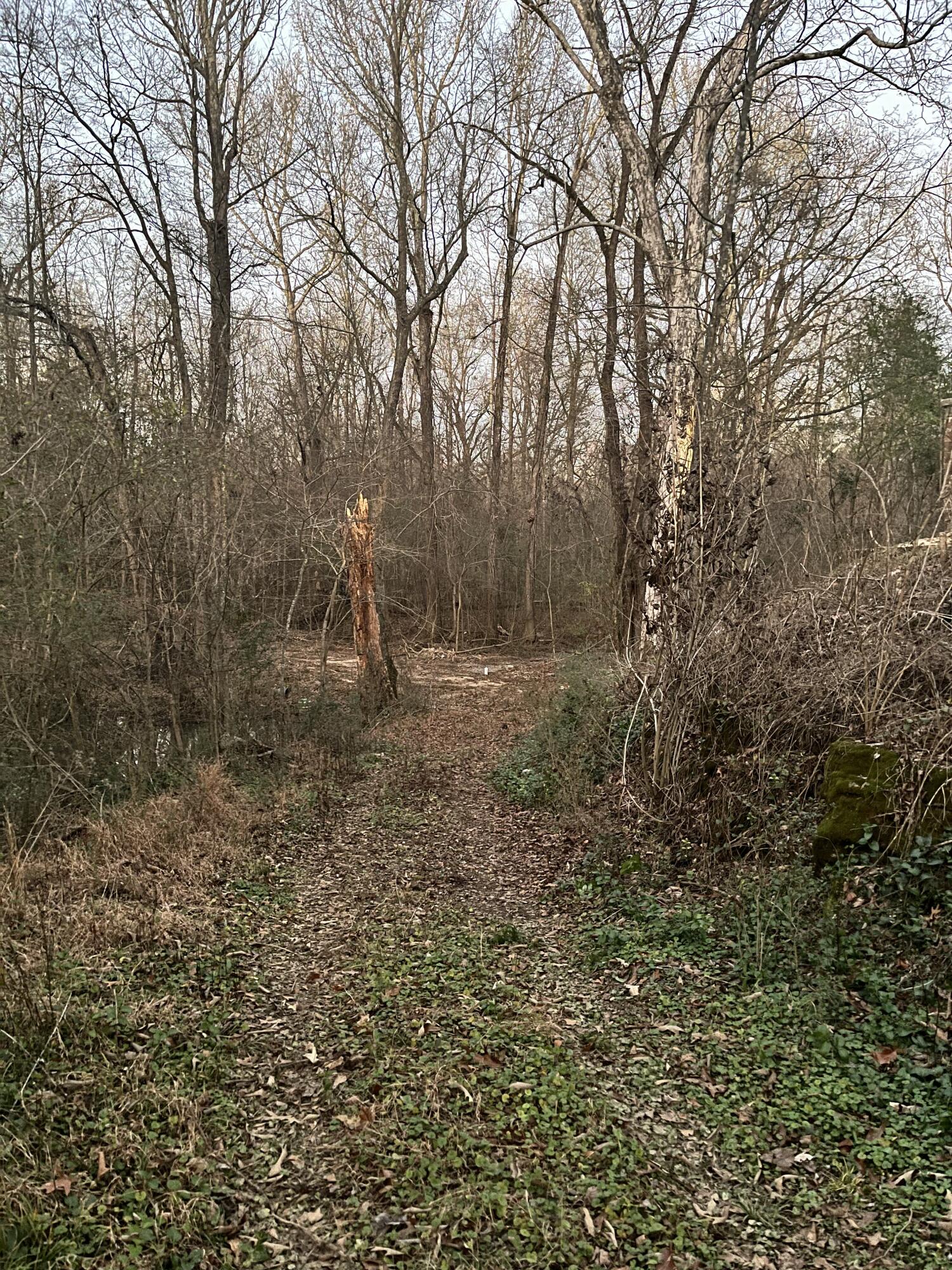 5411 Old Hixson Pike