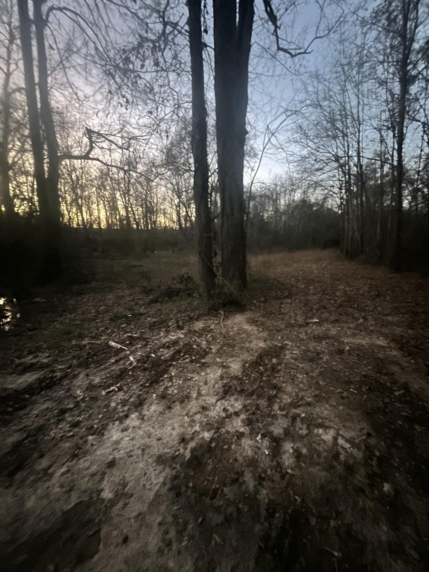 5411 Old Hixson Pike