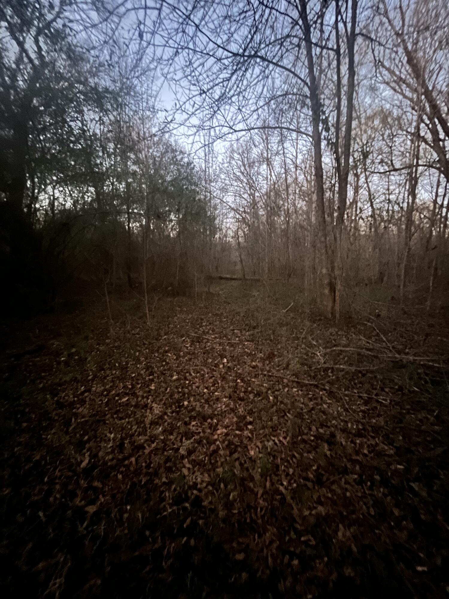 5411 Old Hixson Pike