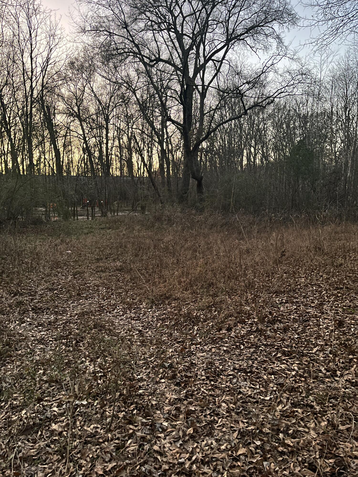 5411 Old Hixson Pike