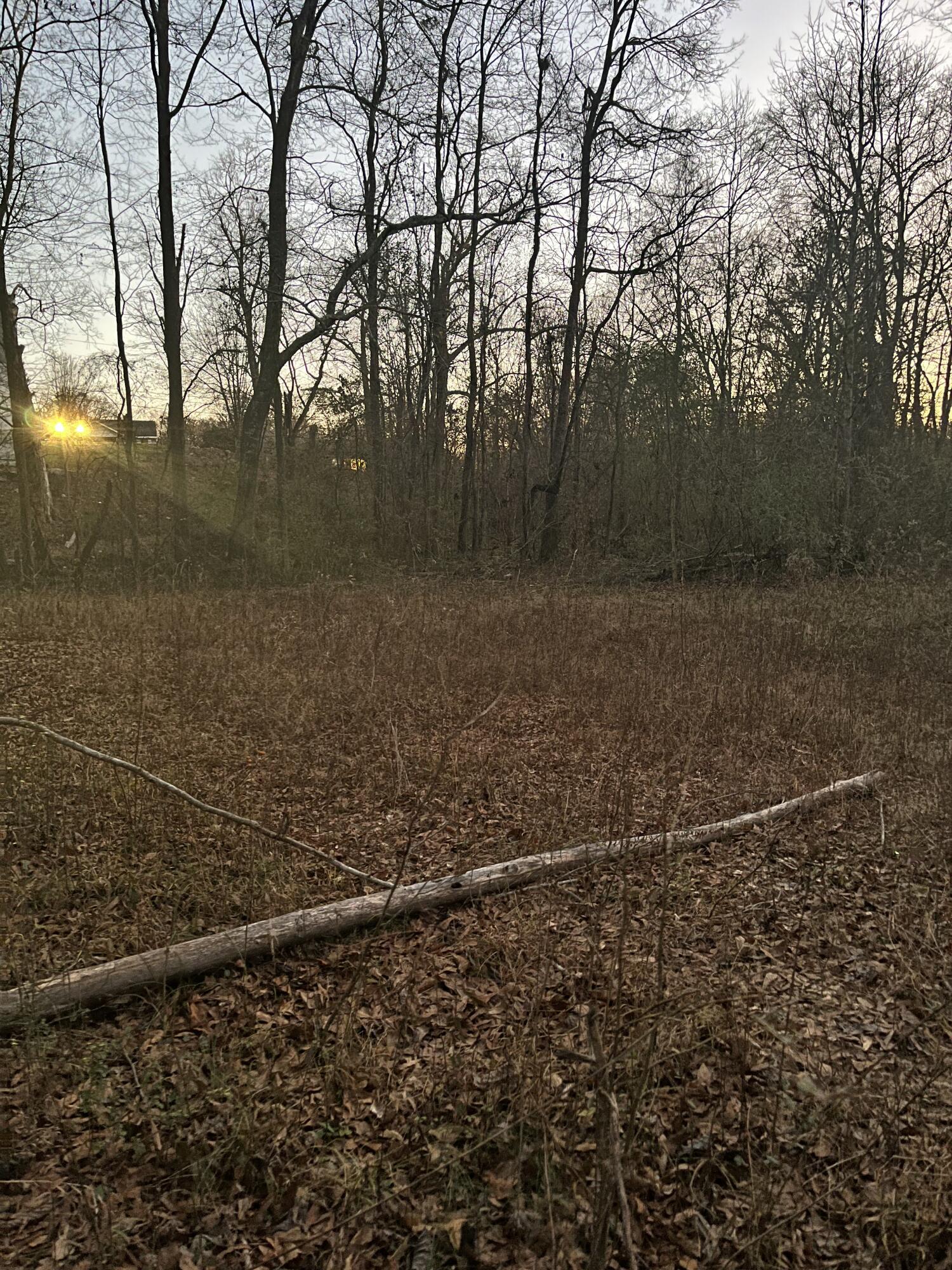 5411 Old Hixson Pike