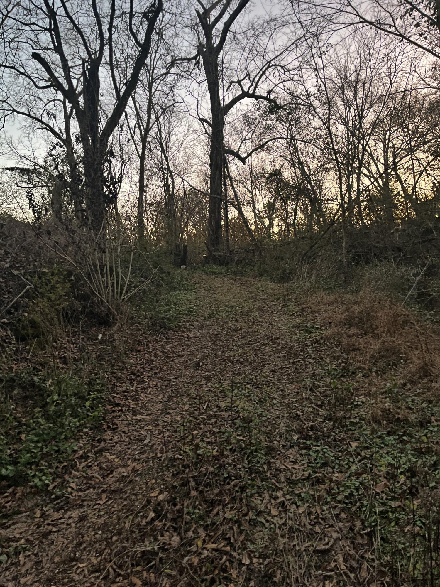 5411 Old Hixson Pike